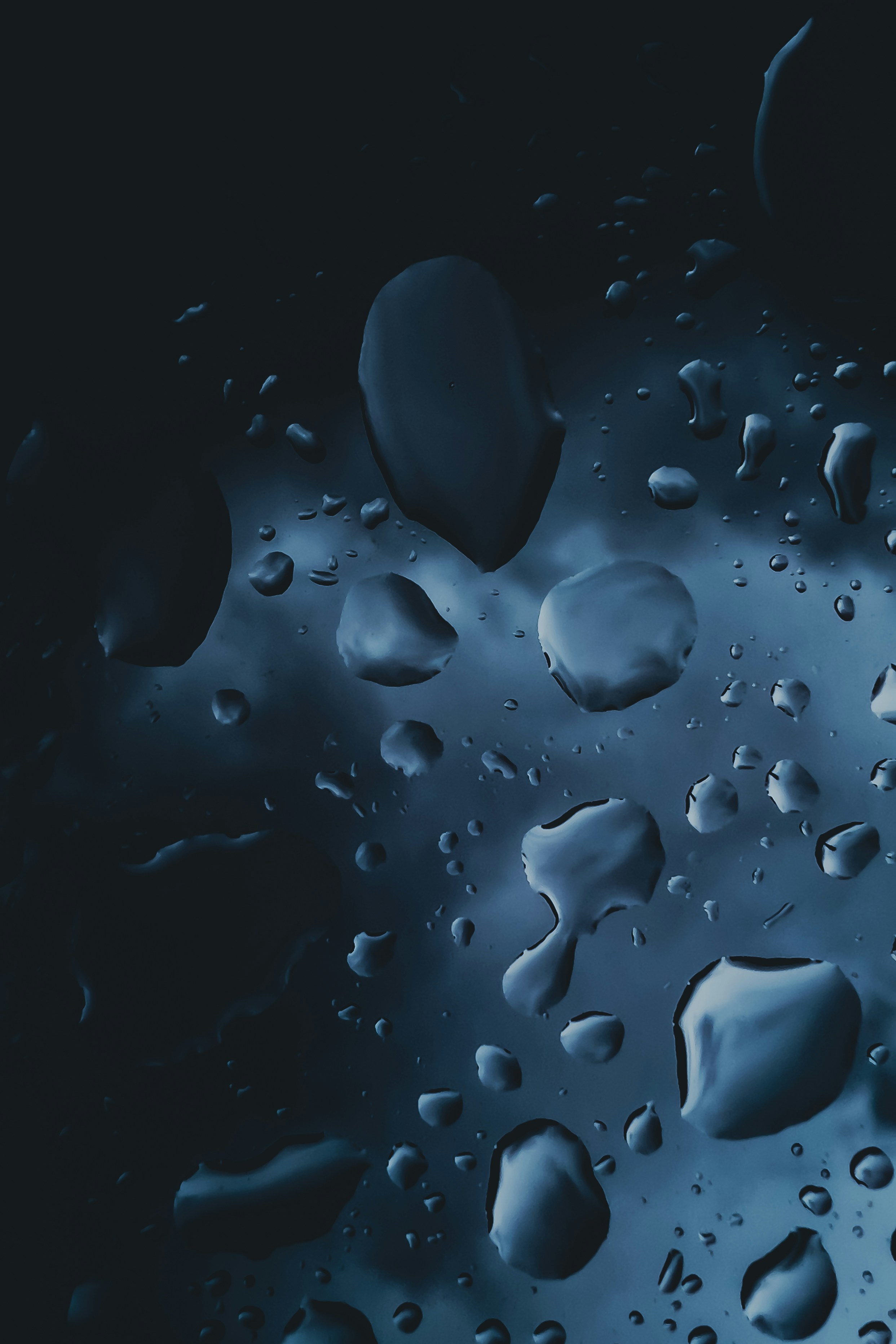 Photo by kalaniparker