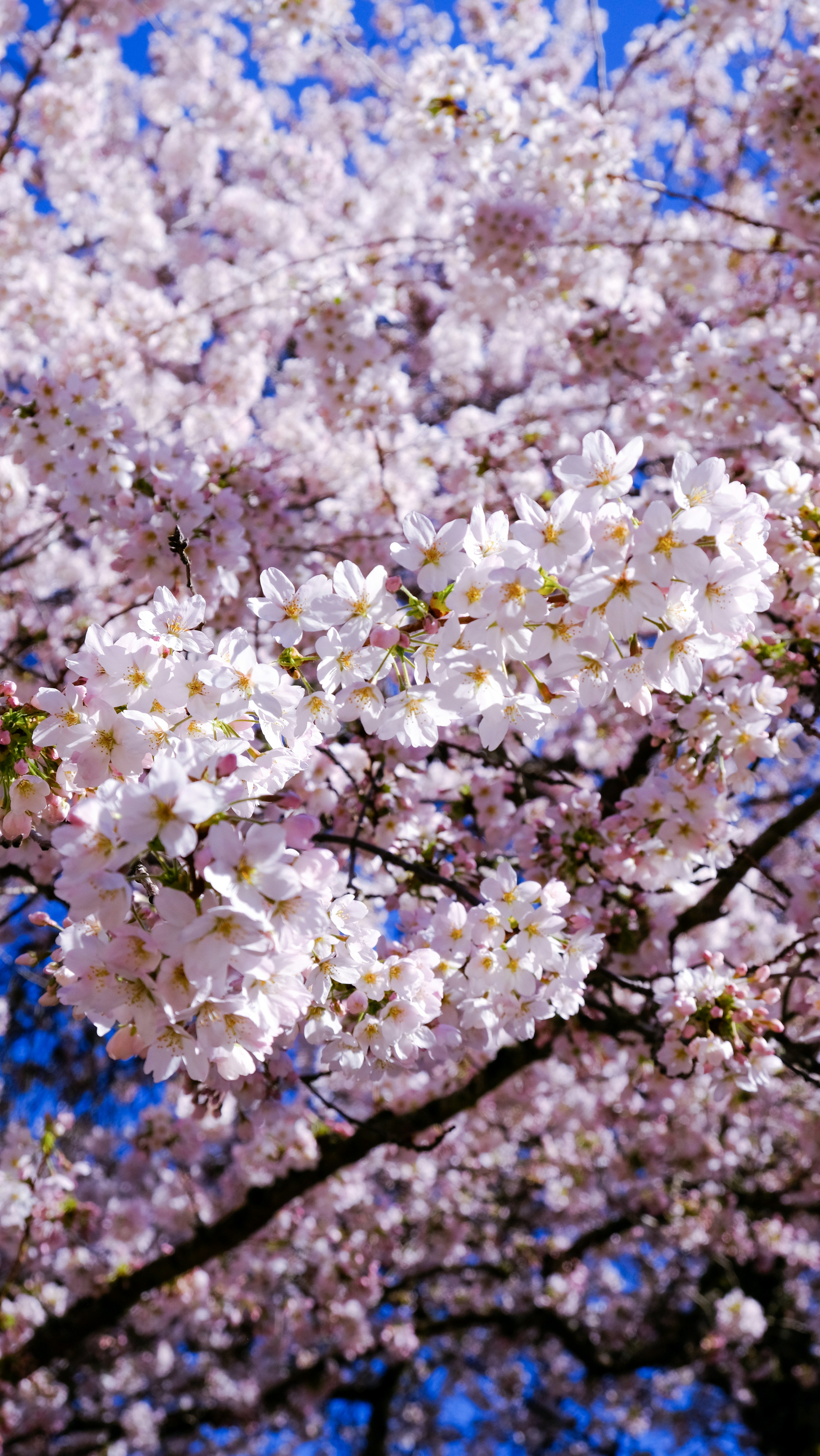 Photo by readmeat1991