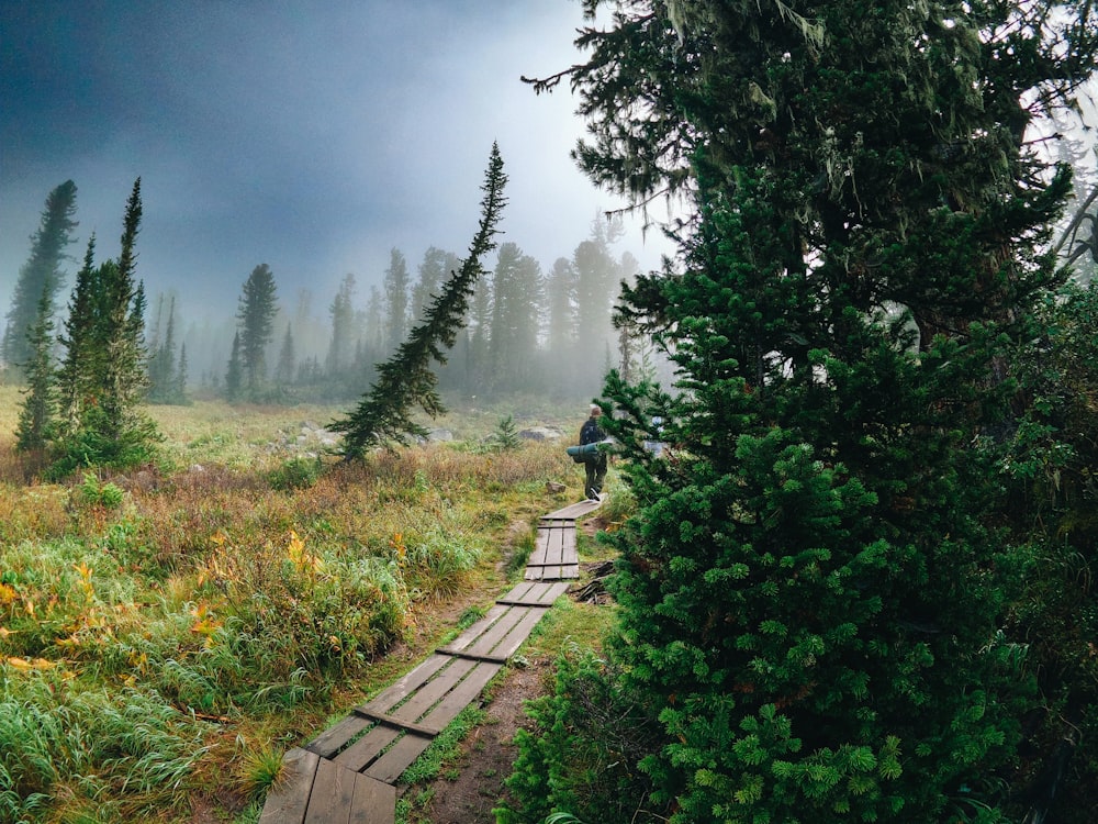 a person walking down a path in the woods