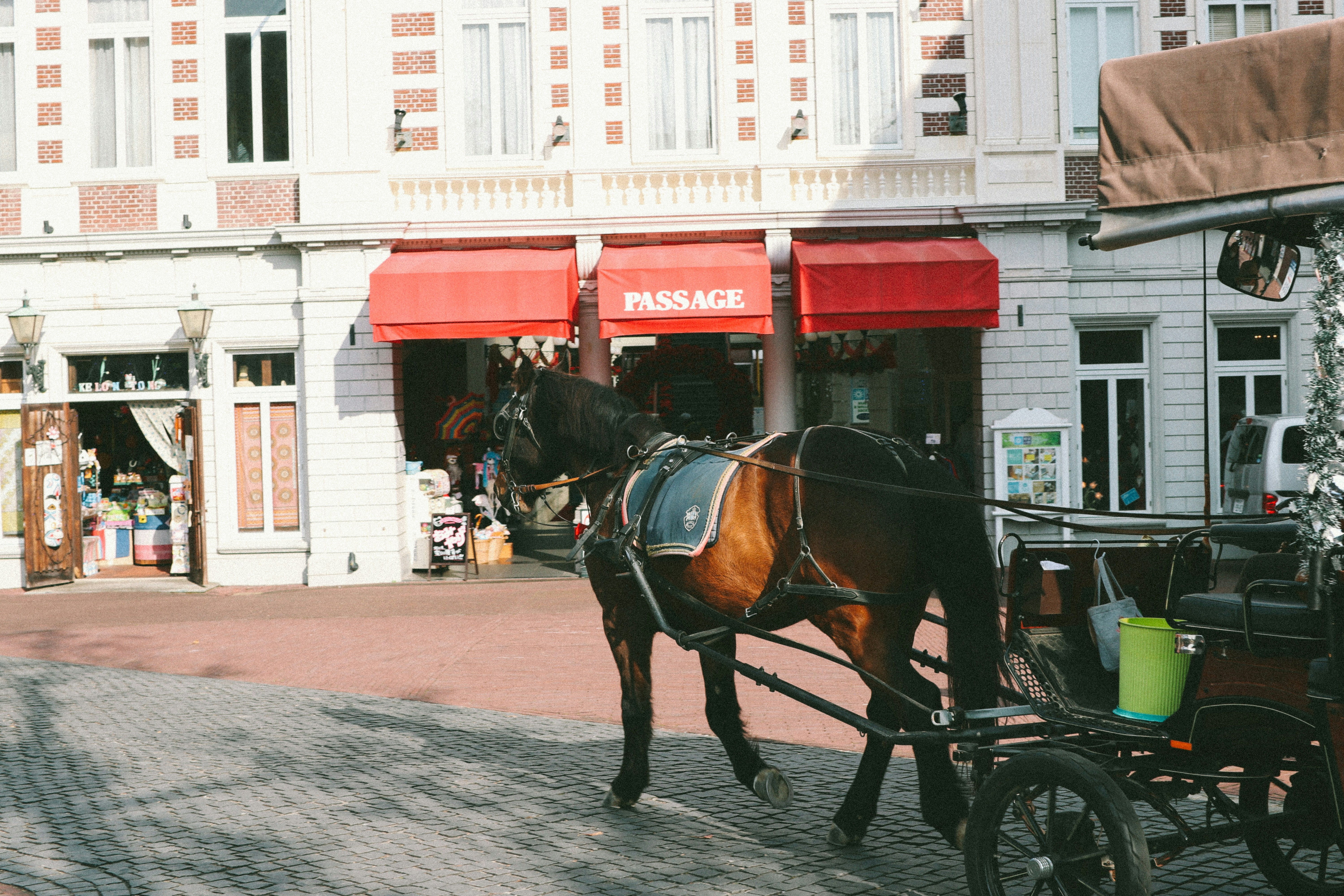 a horse drawn carriage on a city street