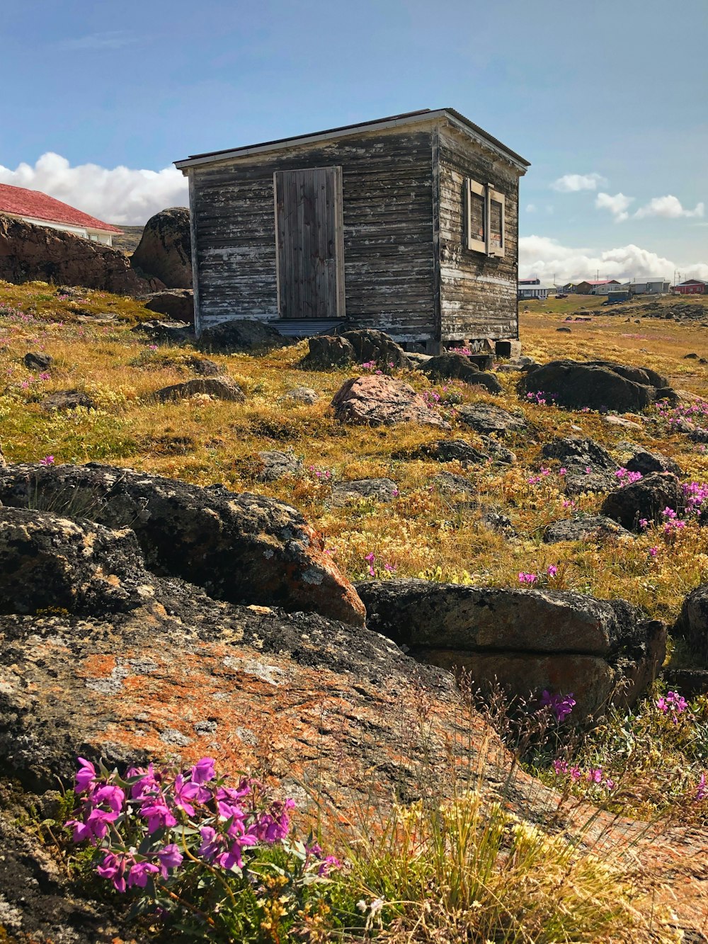 un piccolo edificio in legno seduto in cima a un campo verde lussureggiante