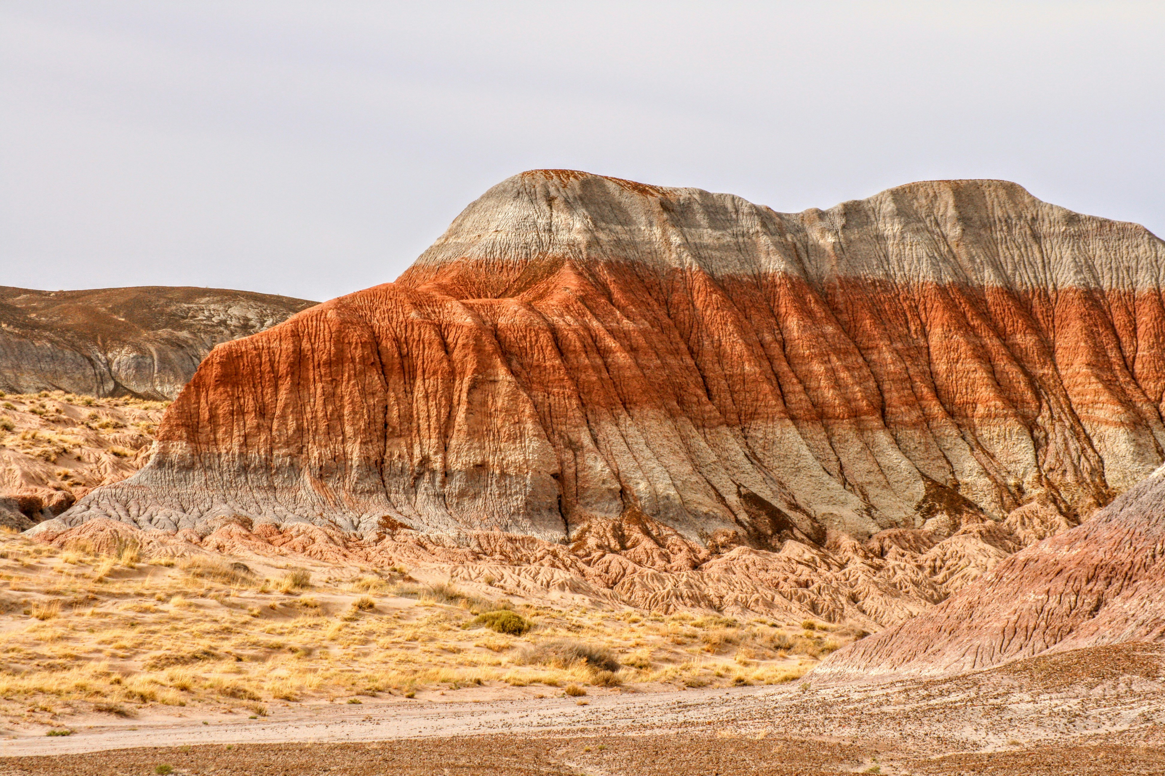 Photo by urbansurfer