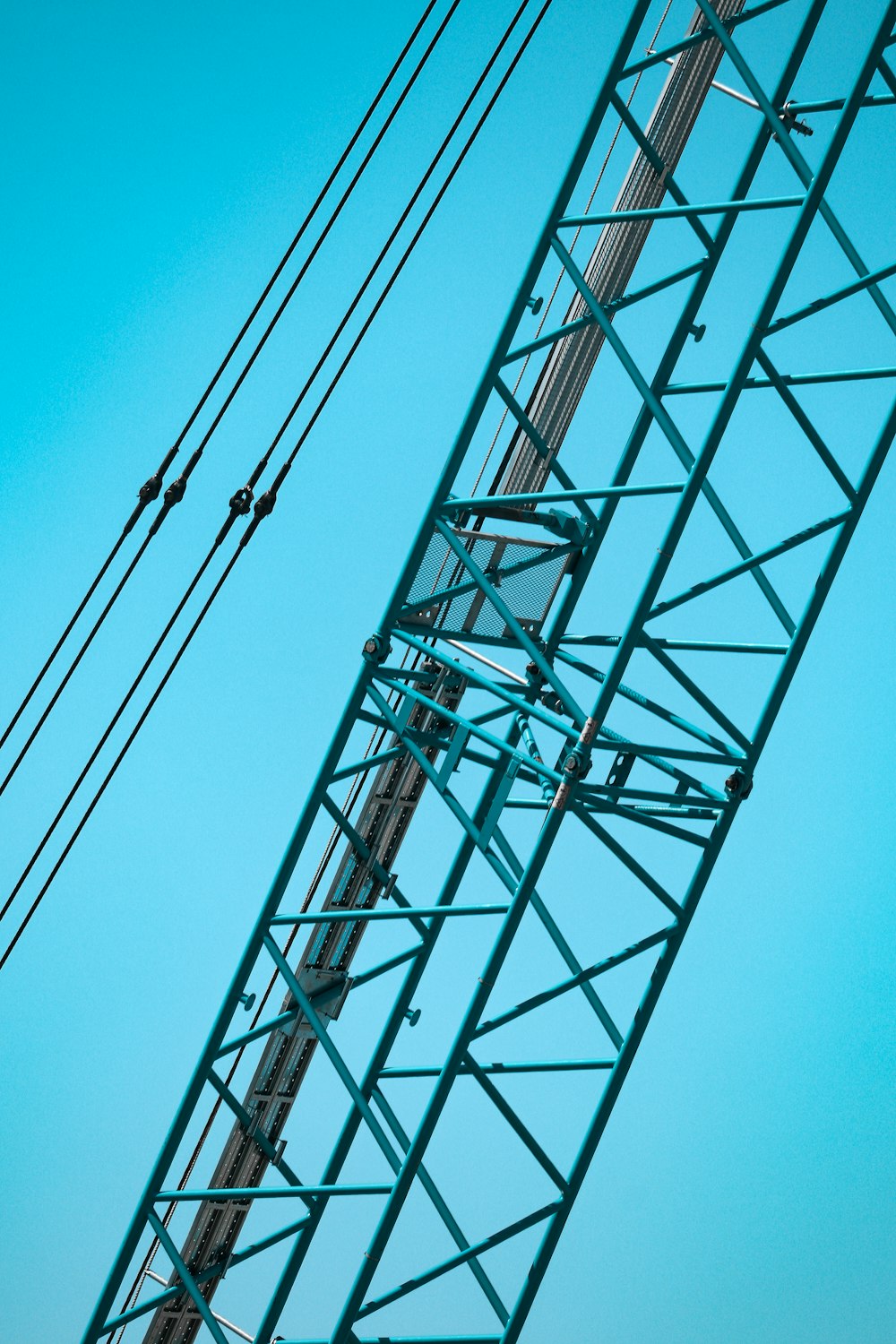 two birds sitting on a power line with a blue sky in the background