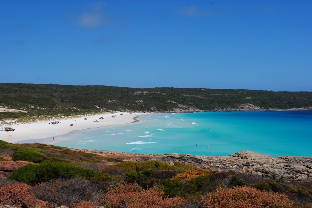 a sandy beach with blue water surrounded by trees