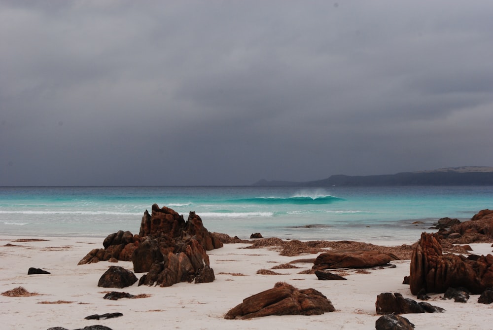 a large body of water sitting next to a sandy beach