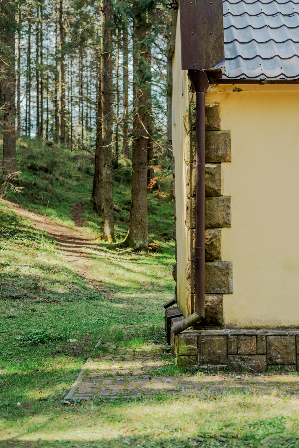 a small building in the middle of a forest