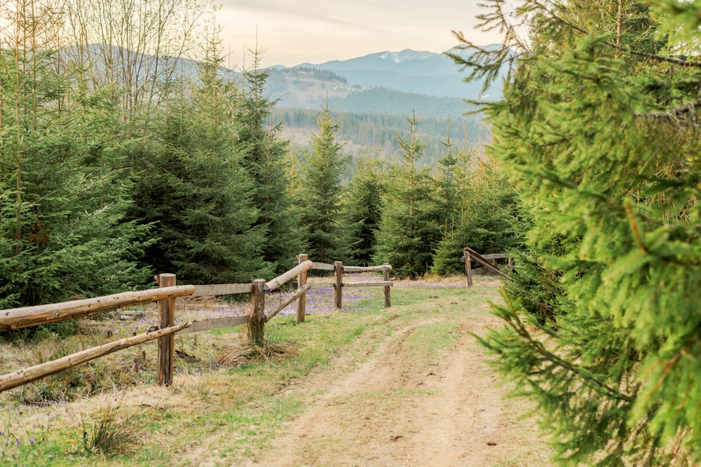 a dirt road surrounded by trees and mountains