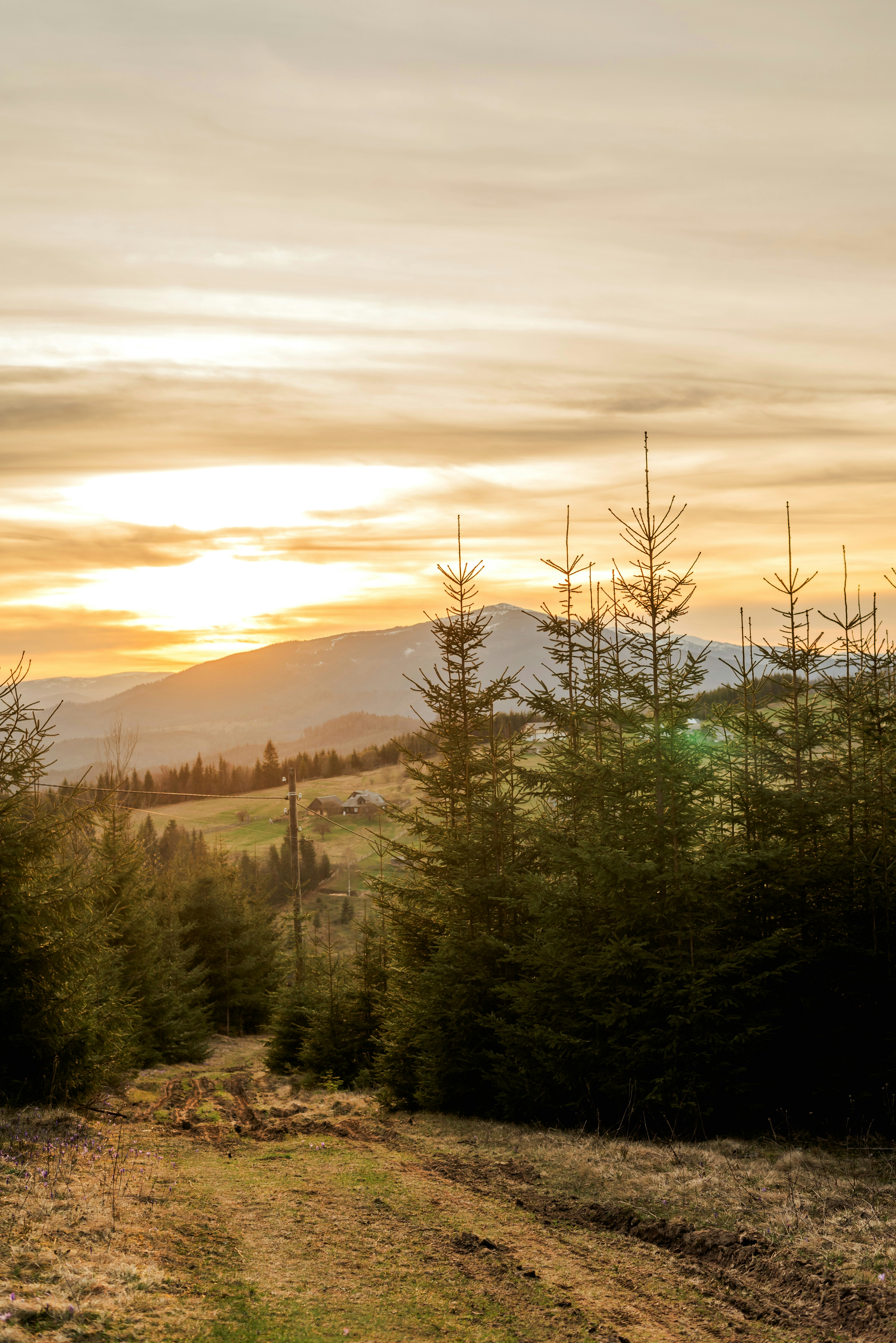 Photo by eugenivy_now