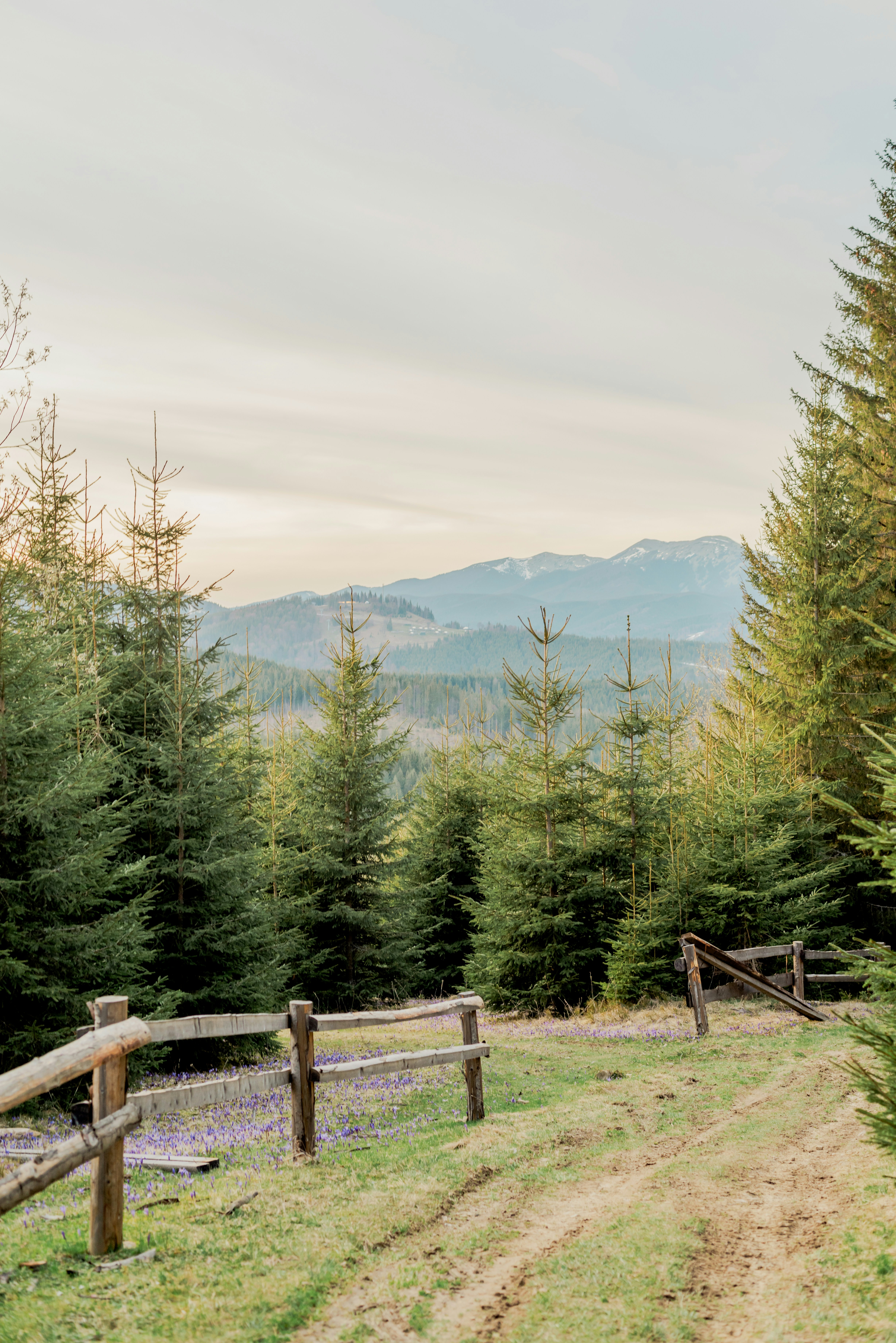 Photo by eugenivy_now