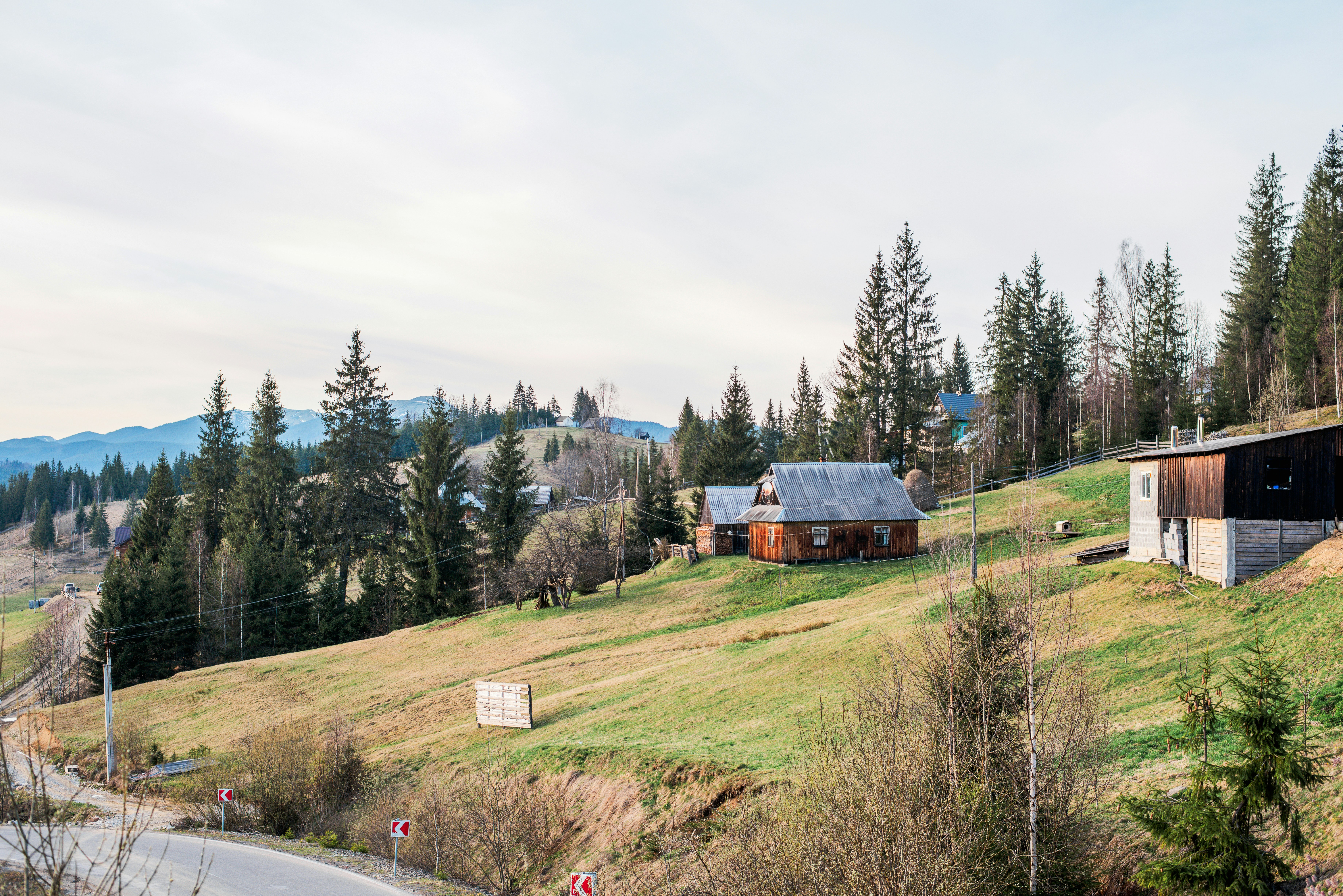 Alpine Modern