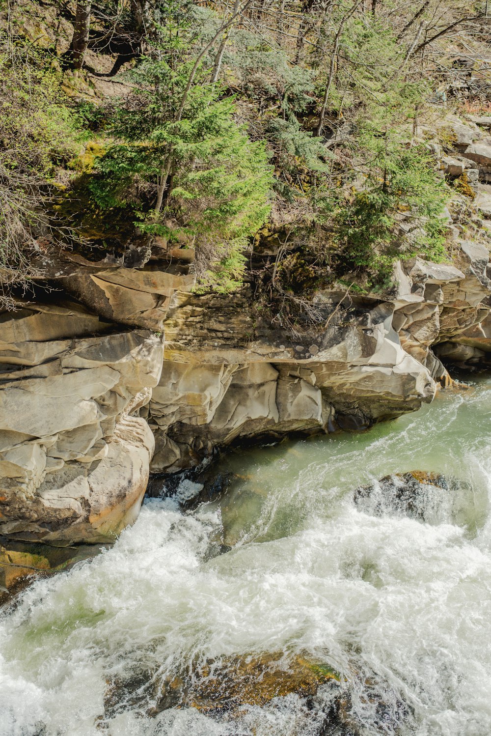 a man standing on top of a rock next to a river