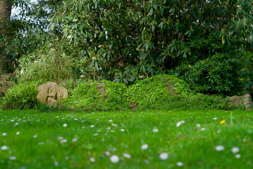 a statue of an elephant in the middle of a grassy area