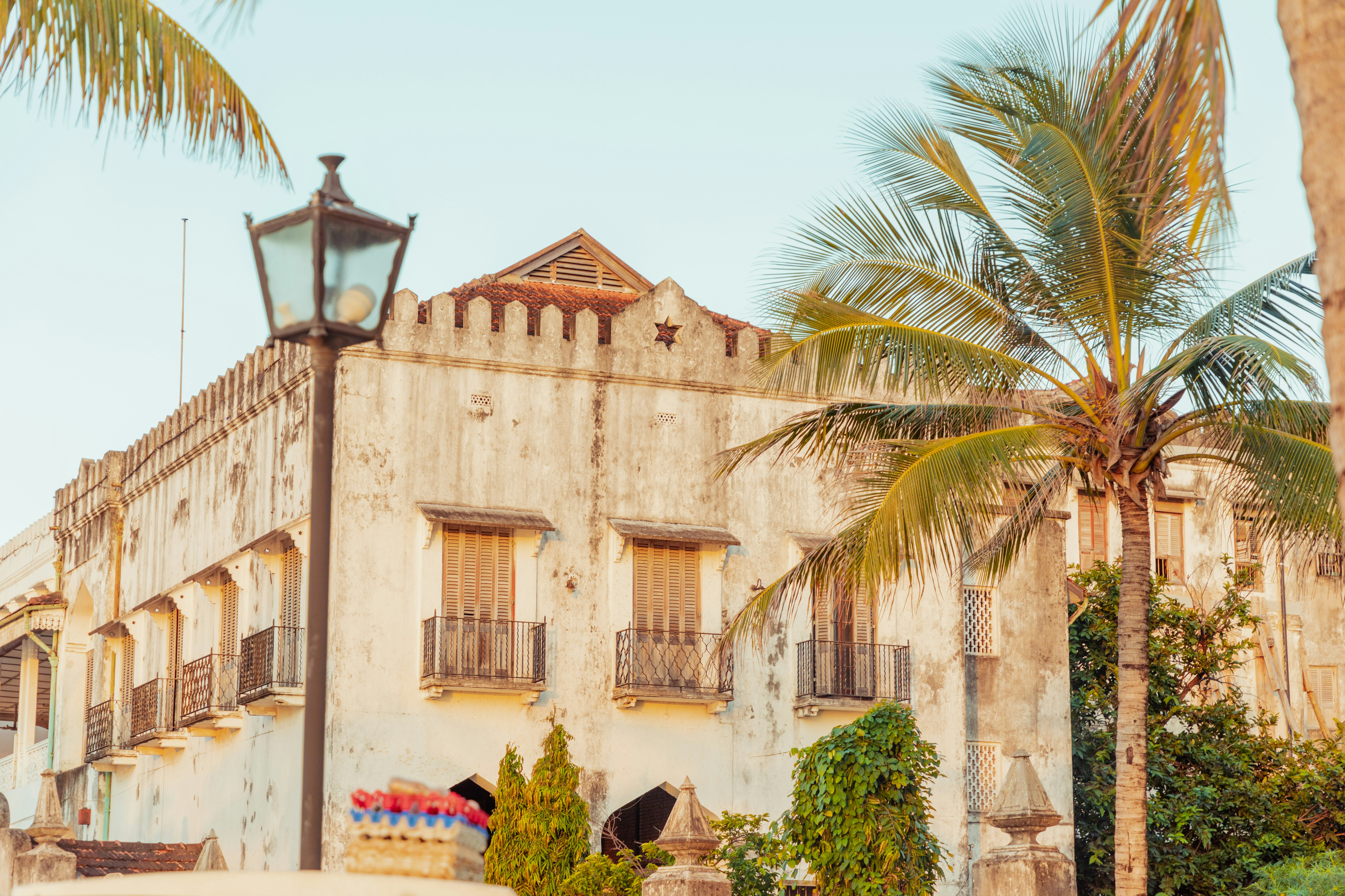 an old building with a palm tree in front of it, Buildings in Zanzibar Stone Town