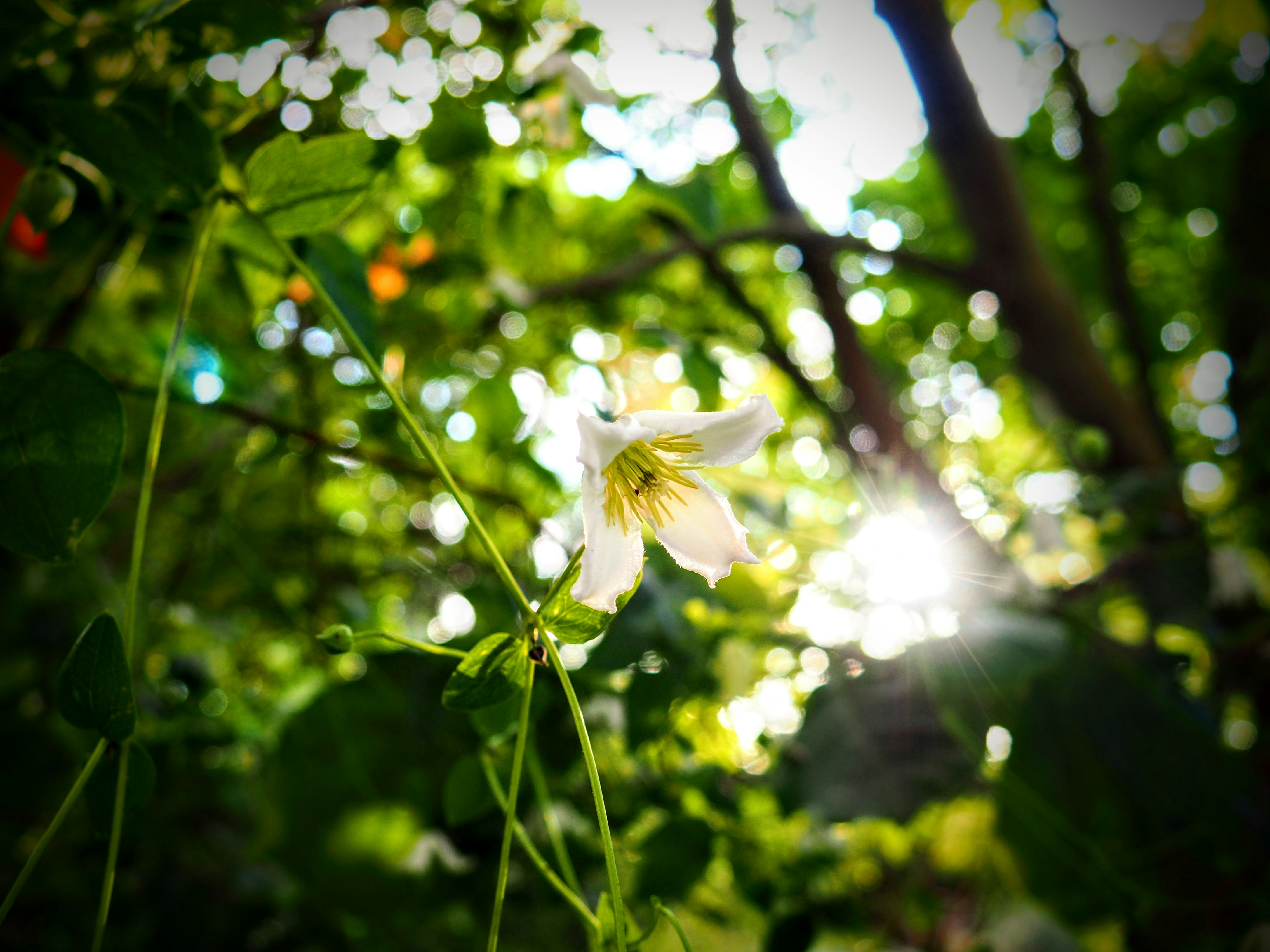 Photo by benji_da_vinci