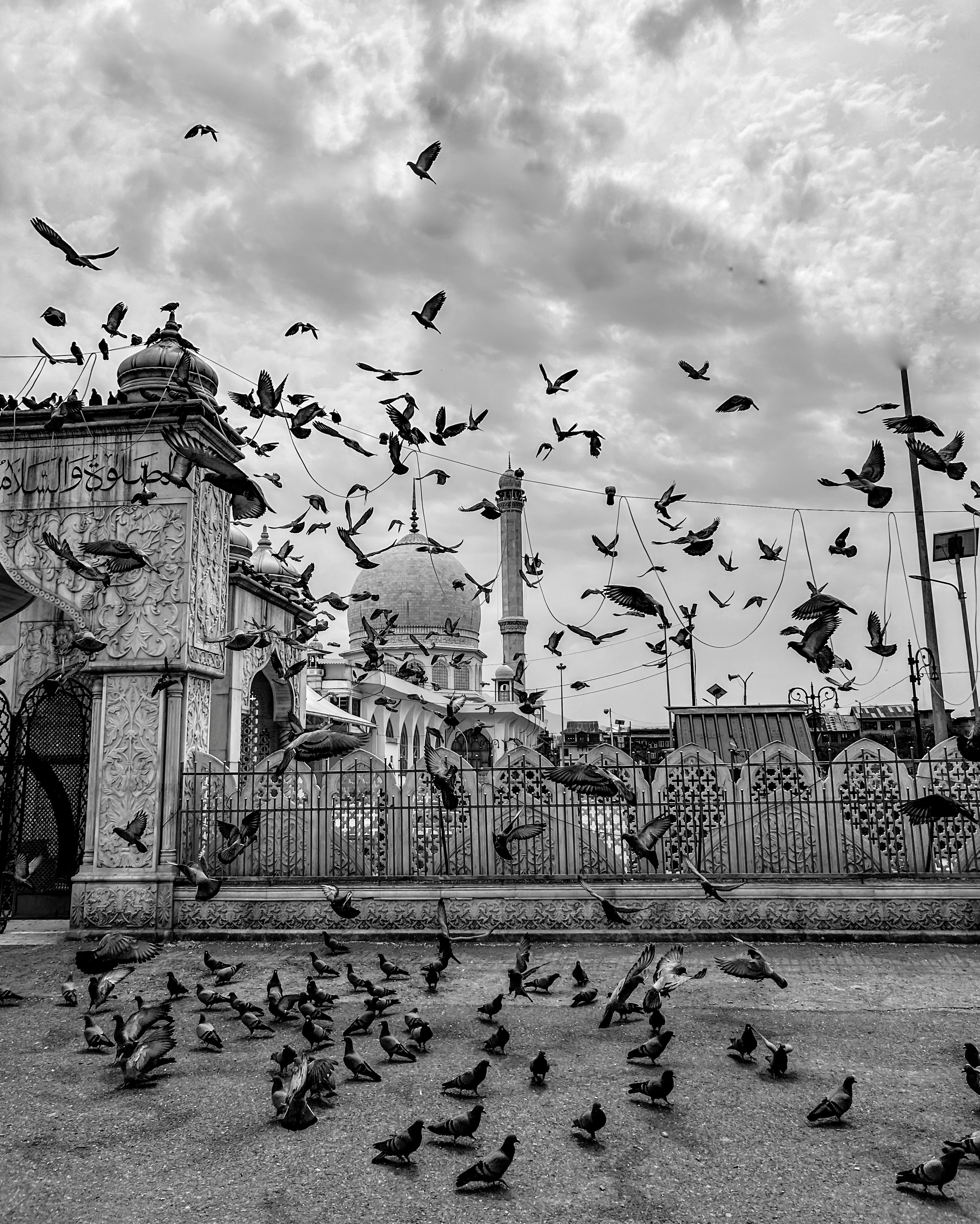 Photo by haziqfarooqi_