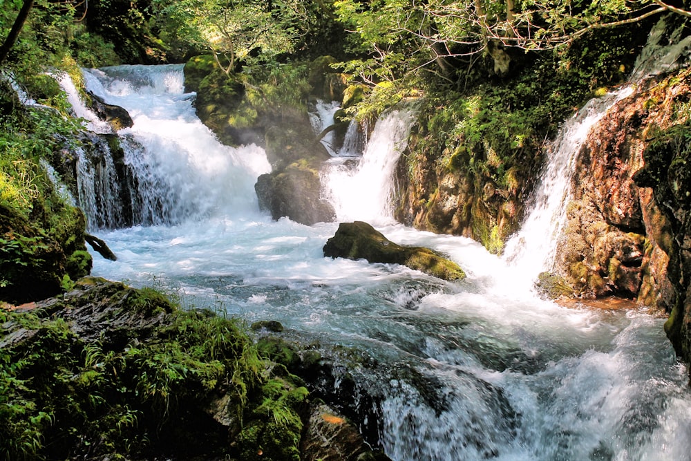 a small waterfall in the middle of a forest