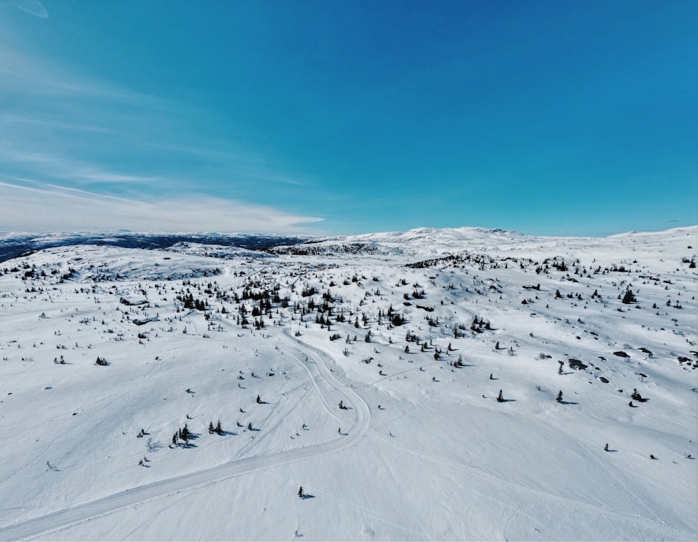 a snow covered field with trees and mountains in the background