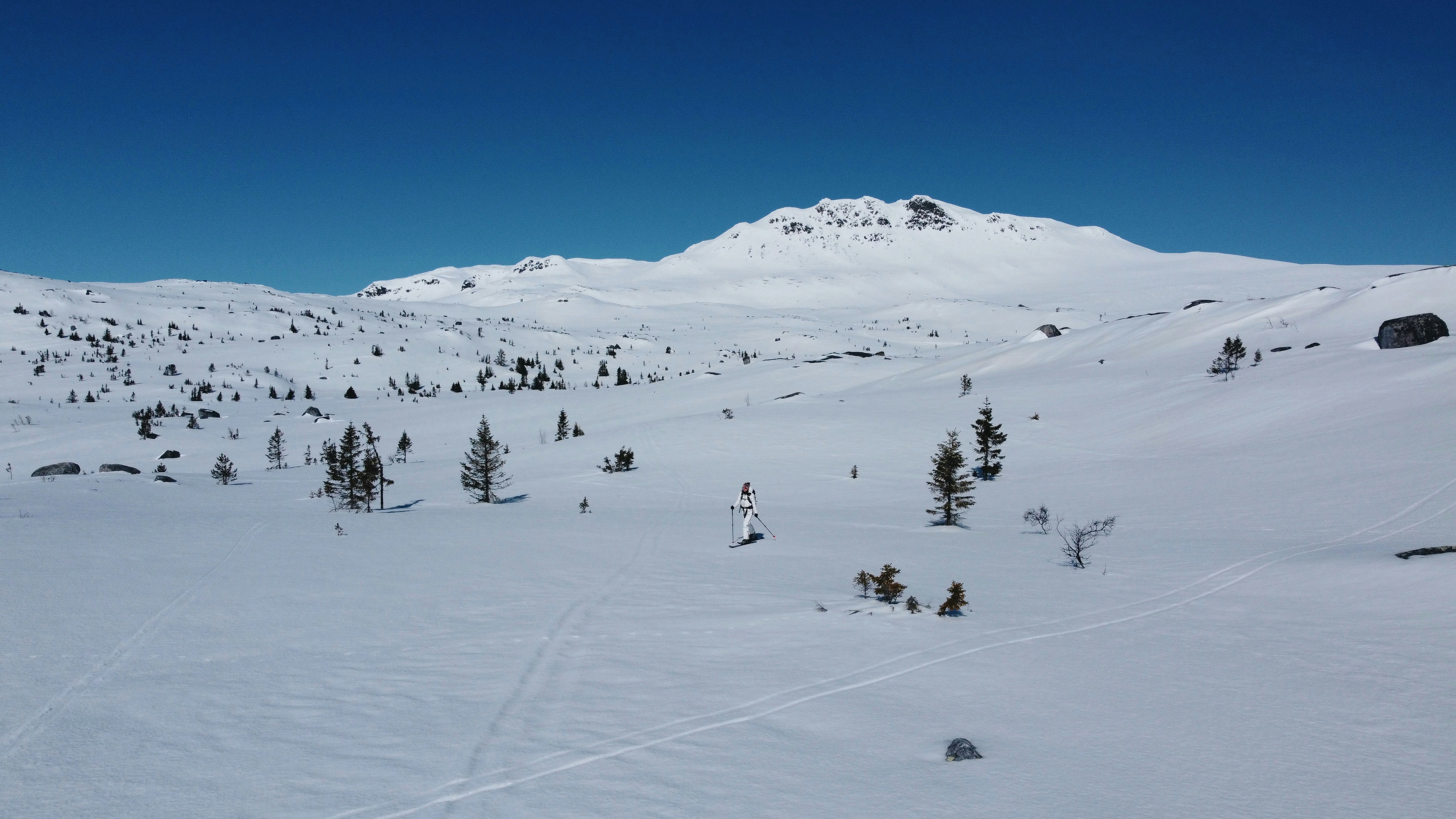 Photo by janikpresser