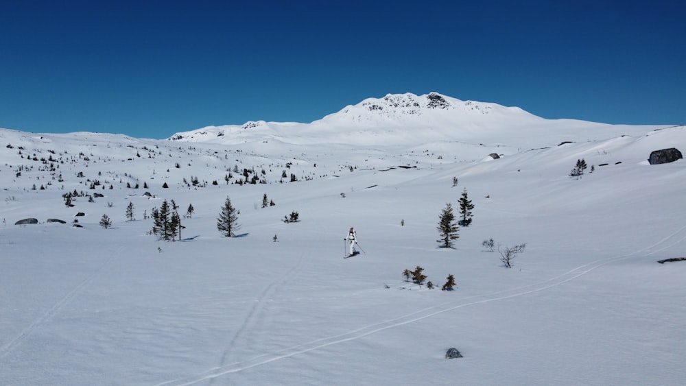 a snow covered mountain with trees in the foreground