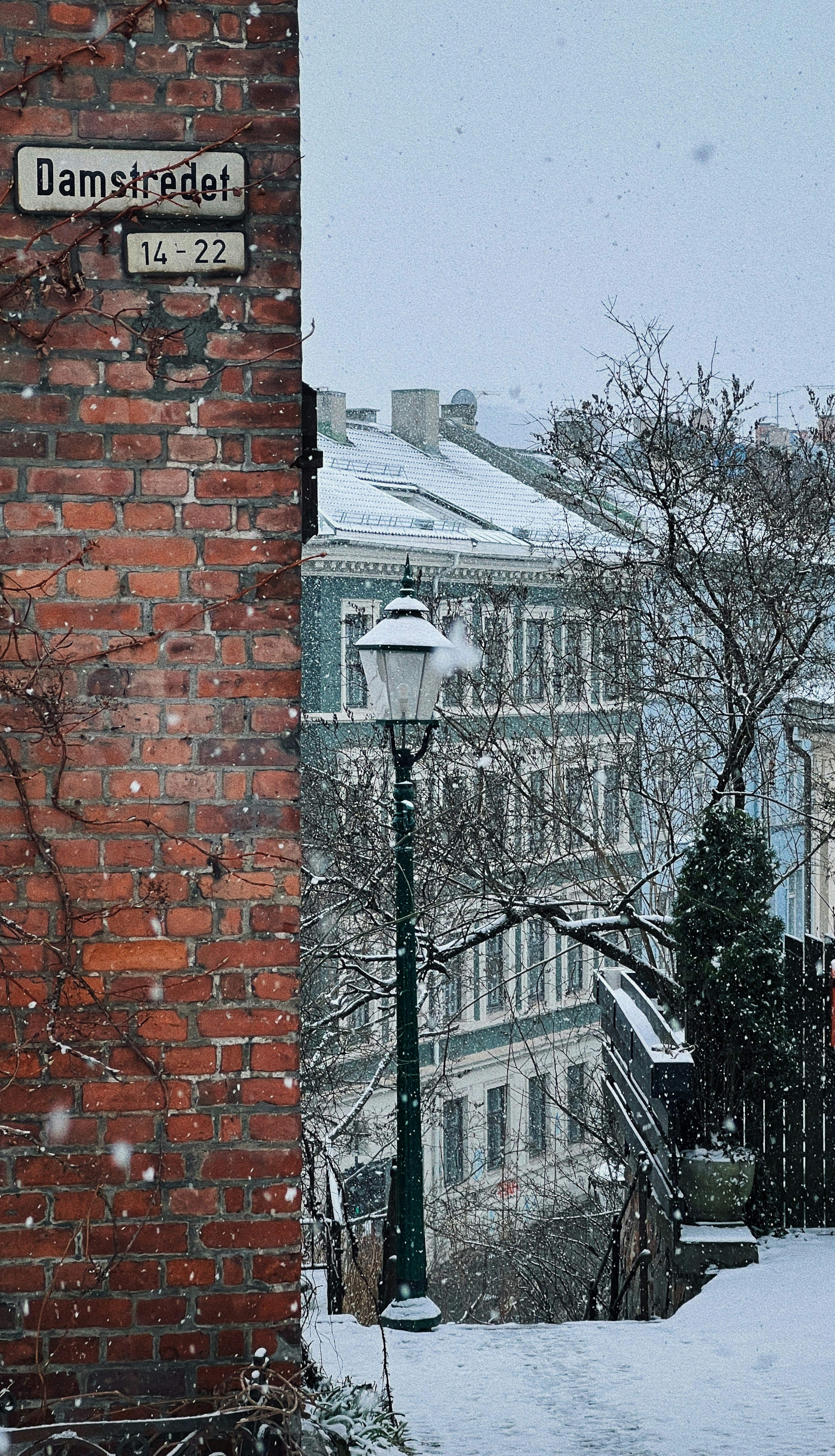 Photo by janikpresser