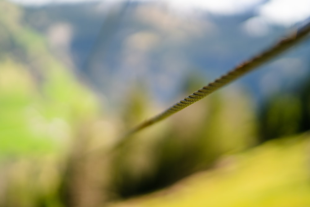 a blurry photo of a grass field with mountains in the background