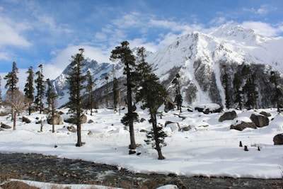 a river running through a snow covered forest