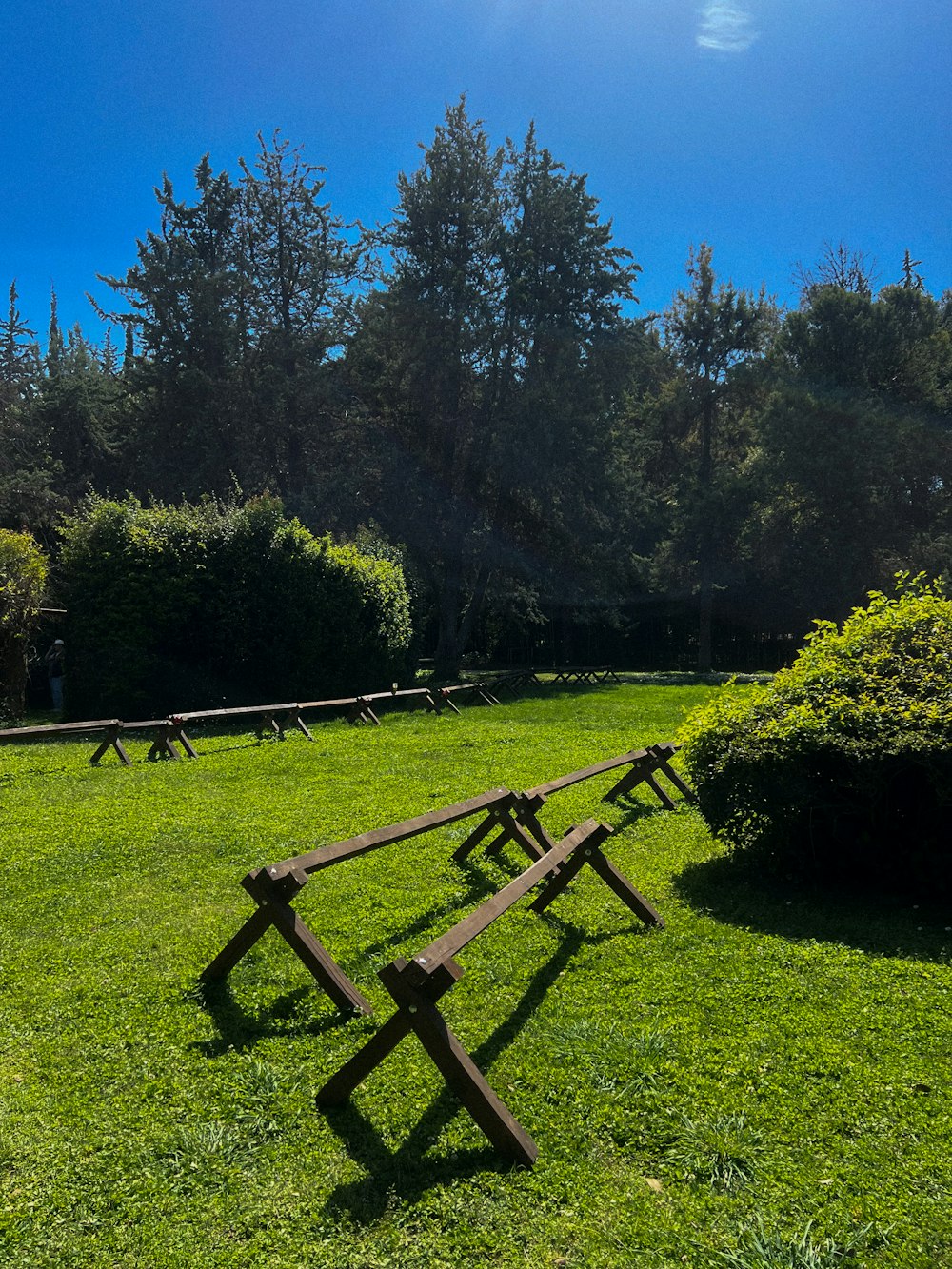a row of wooden benches sitting on top of a lush green field