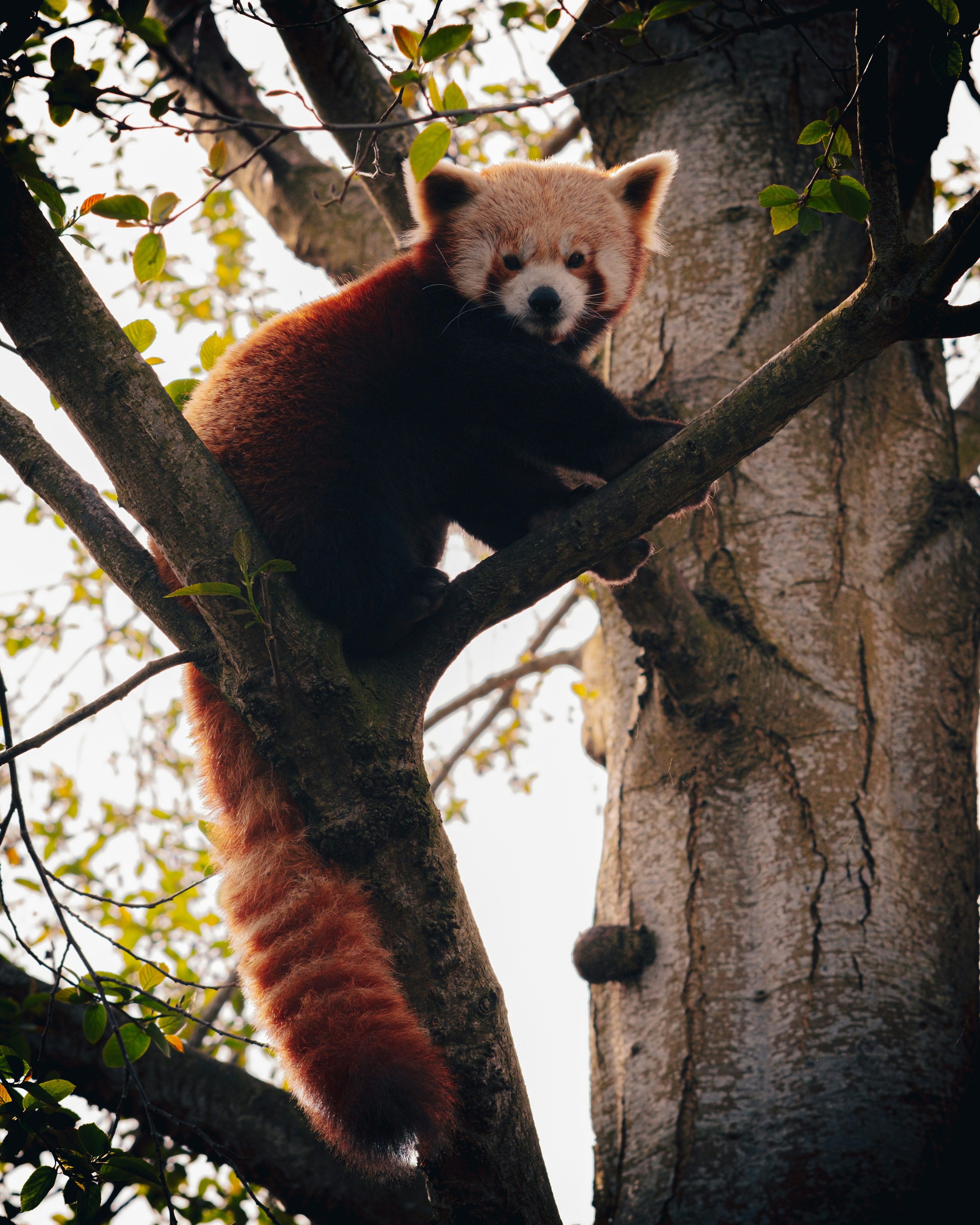 Photo by tamarabadran