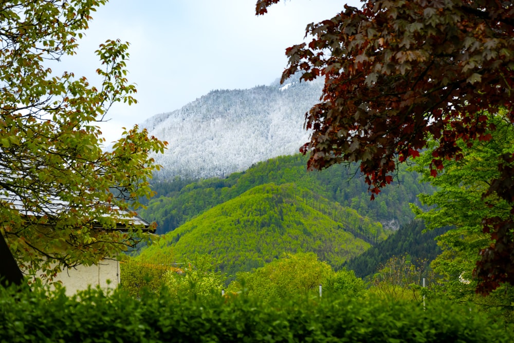Una vista de una montaña con una casa en primer plano