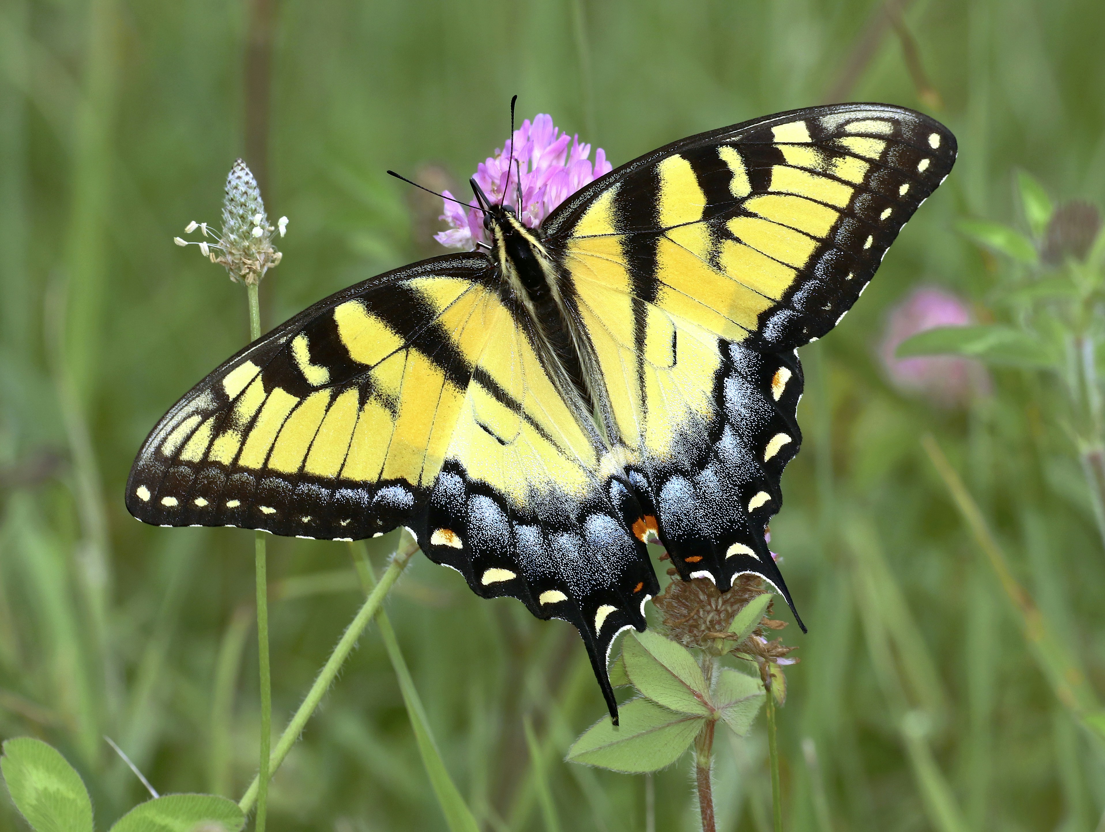 Photo by telliottmbamsc