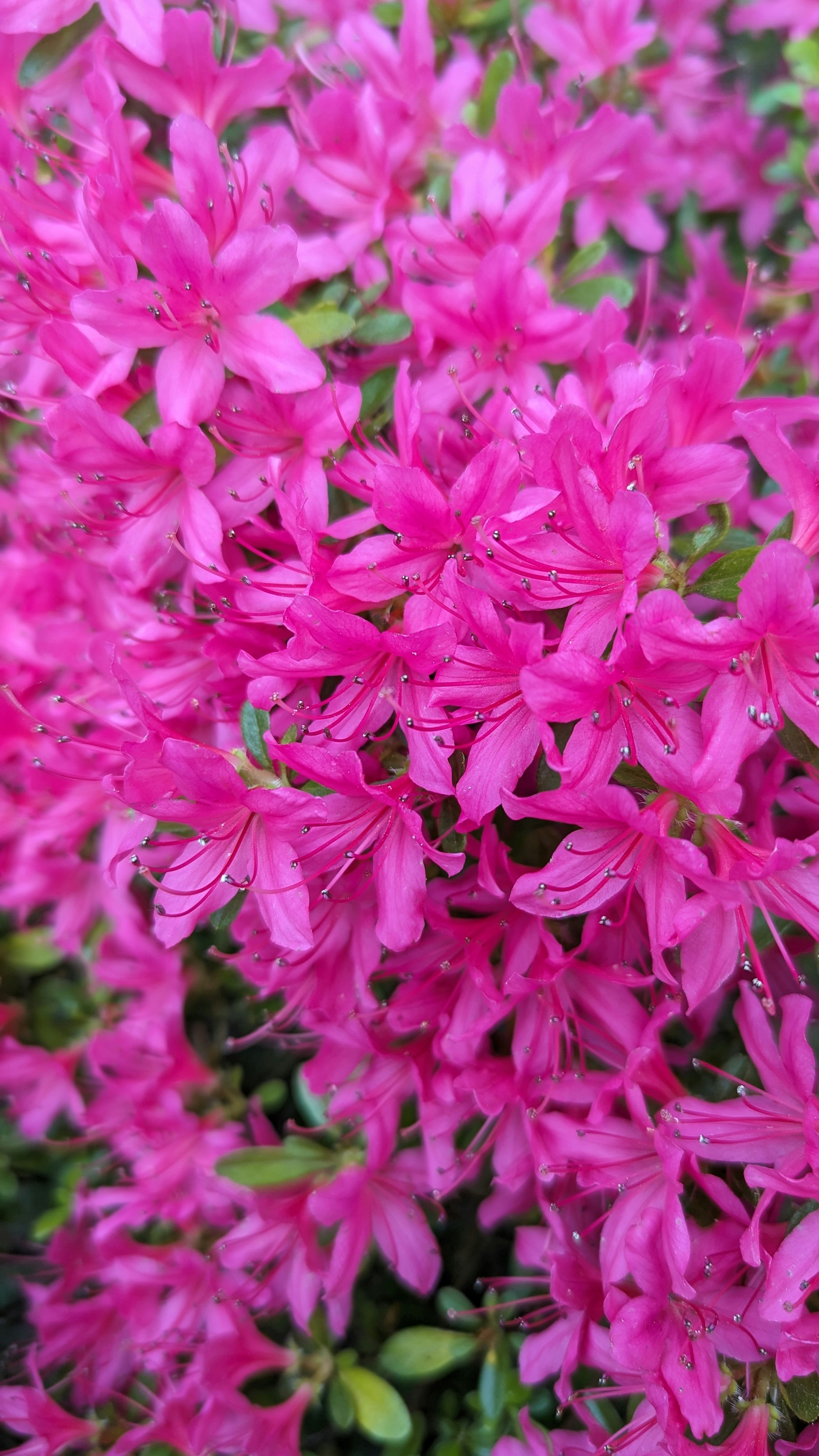 Photo by vintagegluecksgefuehl