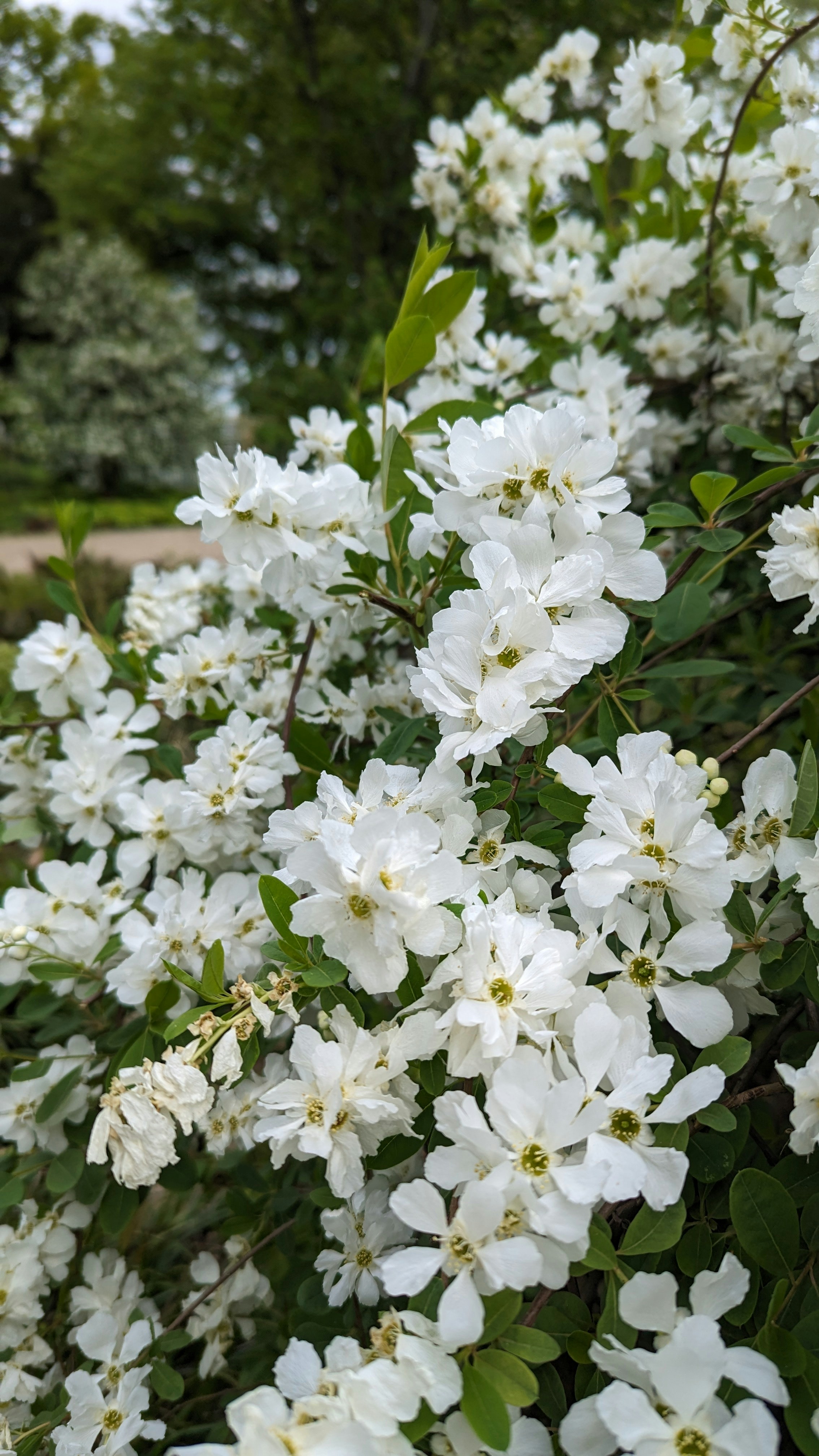 Photo by vintagegluecksgefuehl