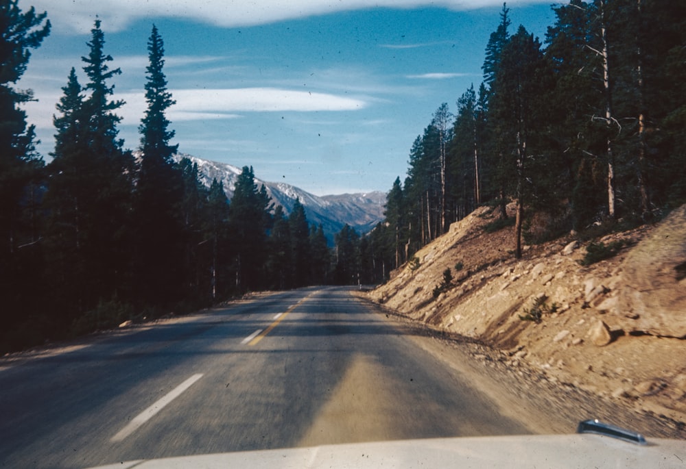 a car driving down a road next to a forest