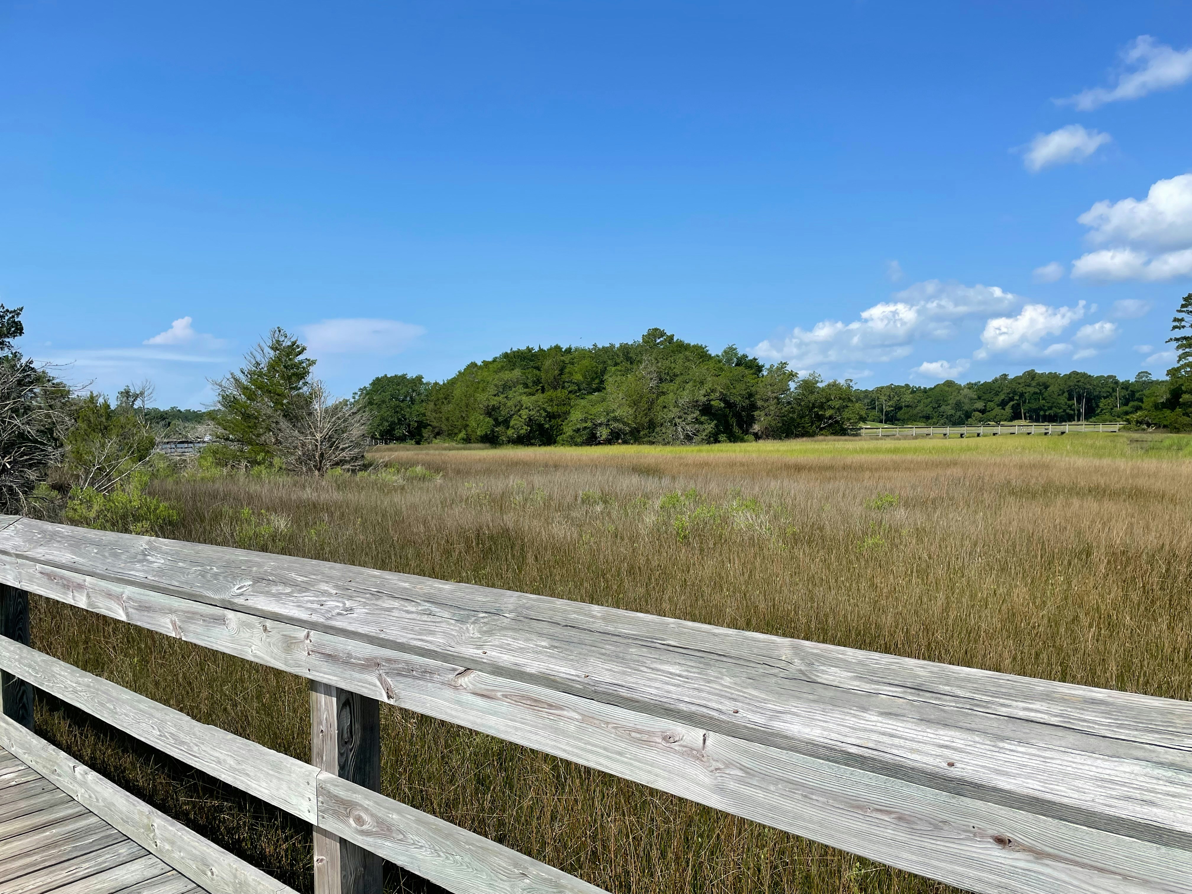 Media and Influencers Race-Bait Over Ozark "Whites-Only" Town and Black Georgia Enclave—Nobody Cares post image