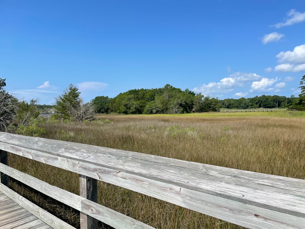 a wooden bridge over a grassy field with trees in the background