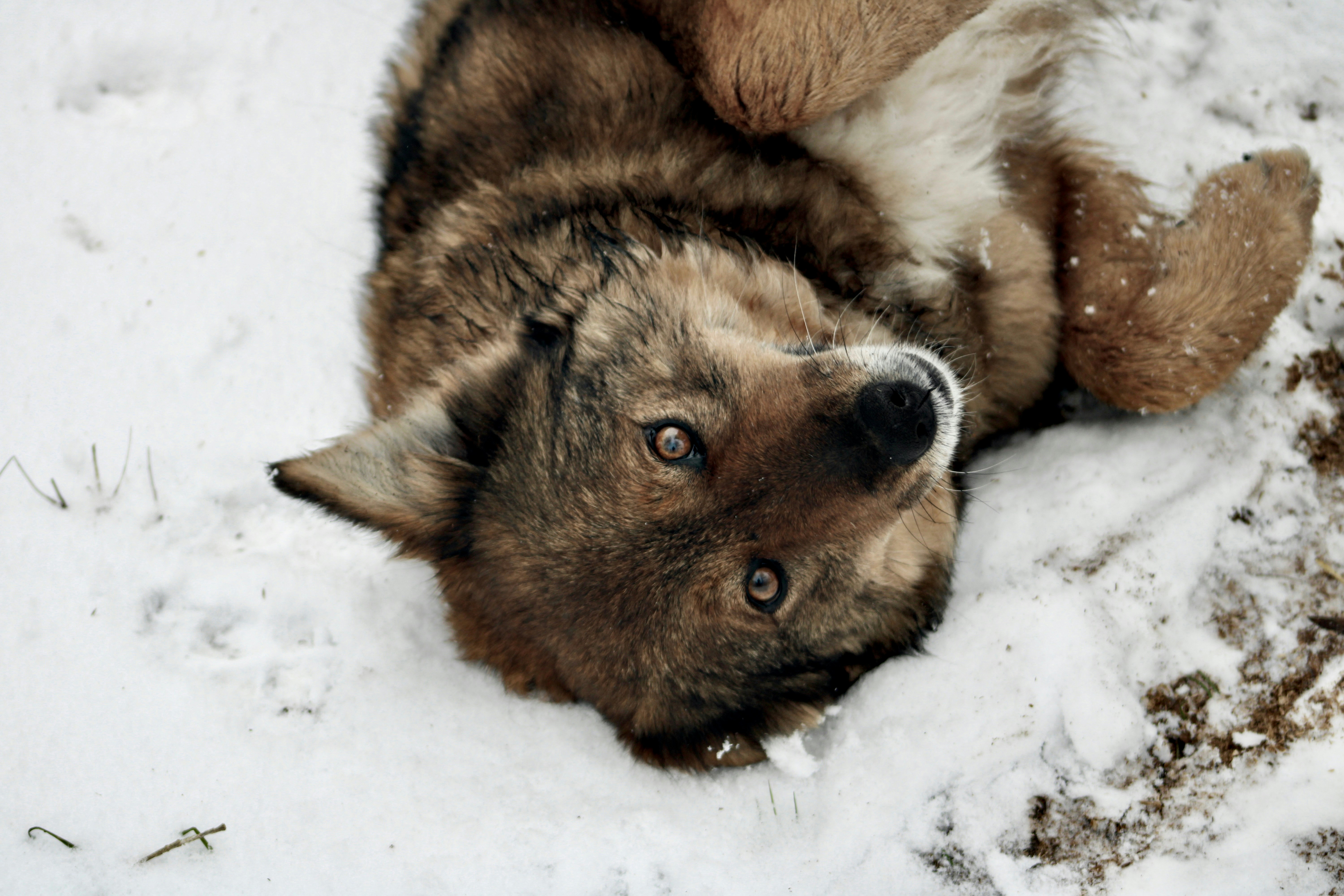 Photo by that_one_ukrainian