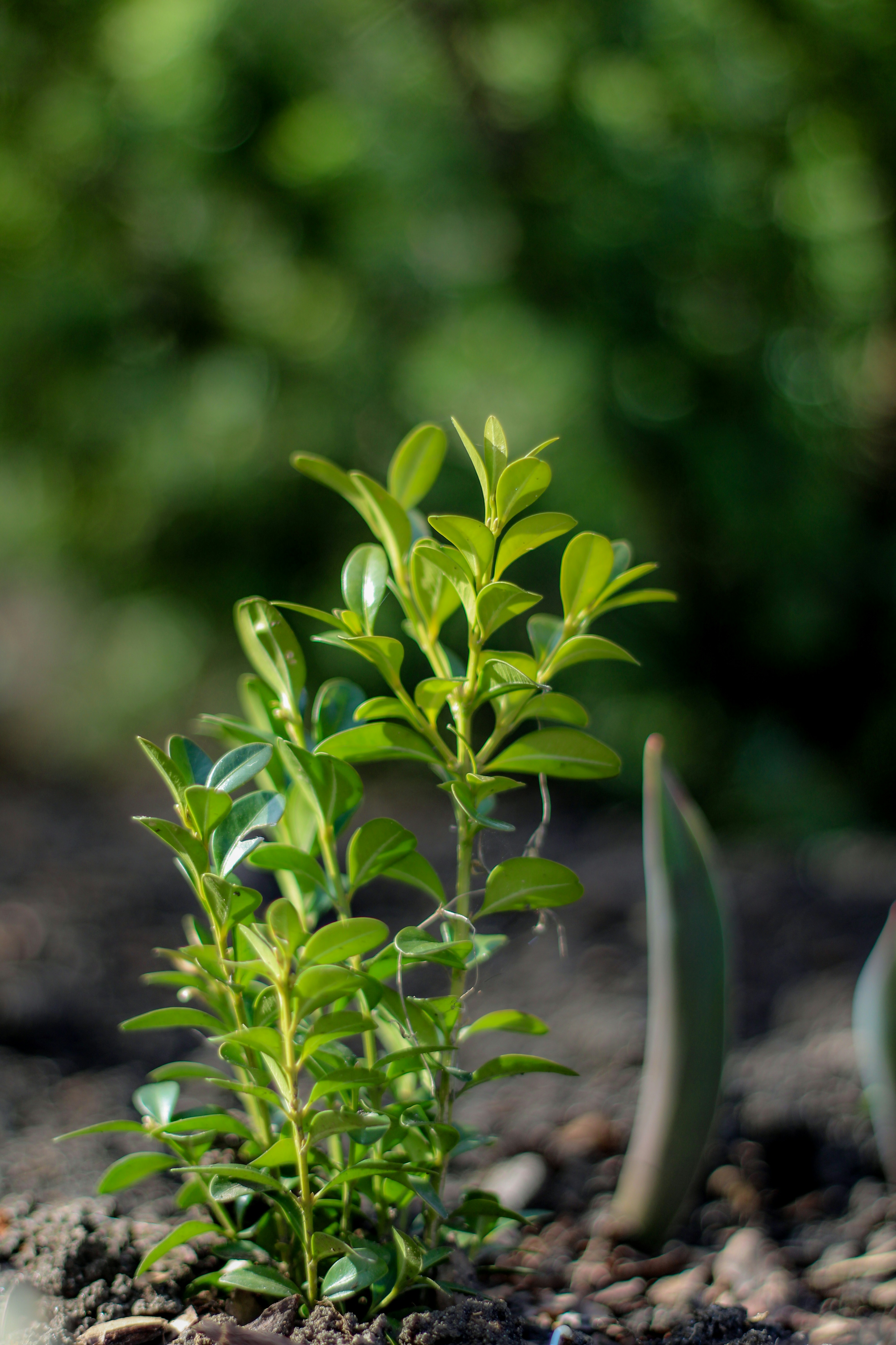 Photo by that_one_ukrainian