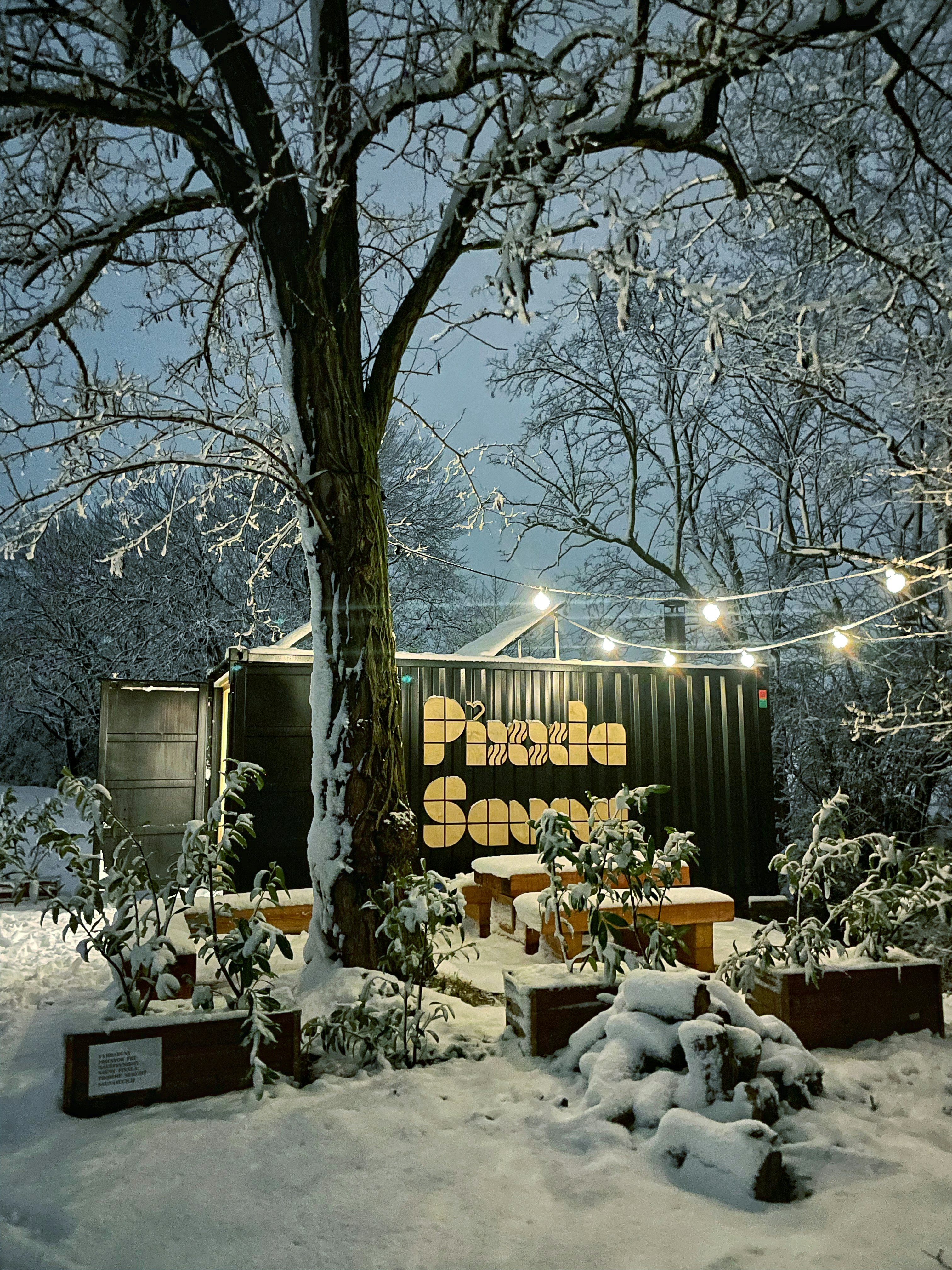 ein Baum mitten in einem verschneiten Hof