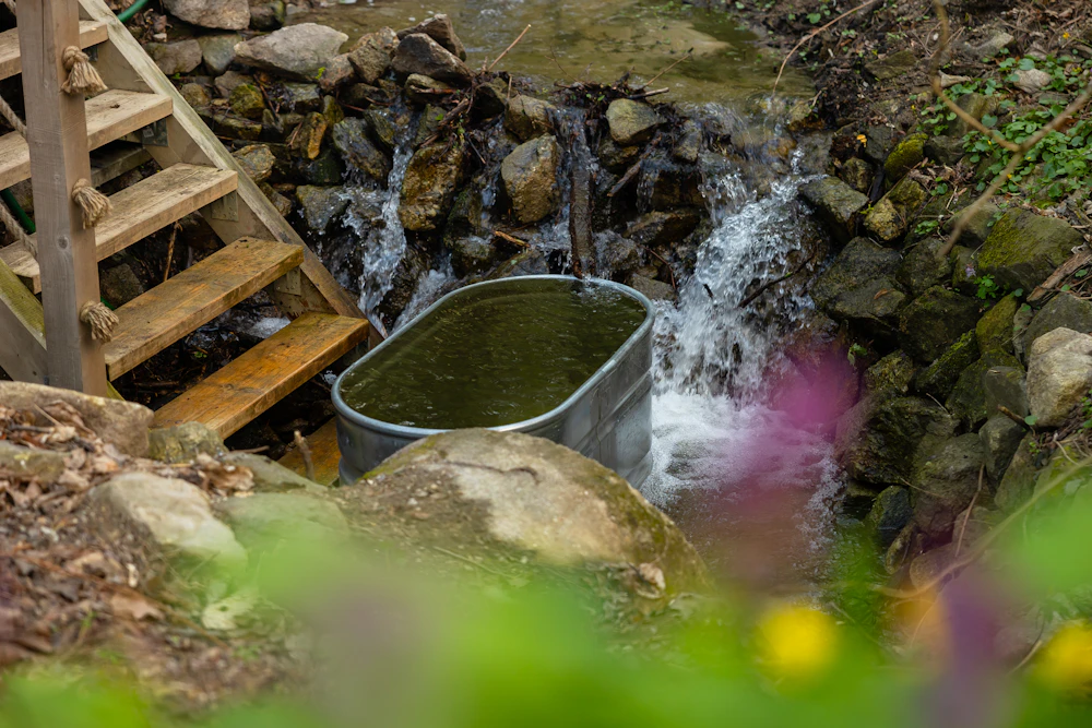 Cold plunge pool beside warm wooden sauna walls