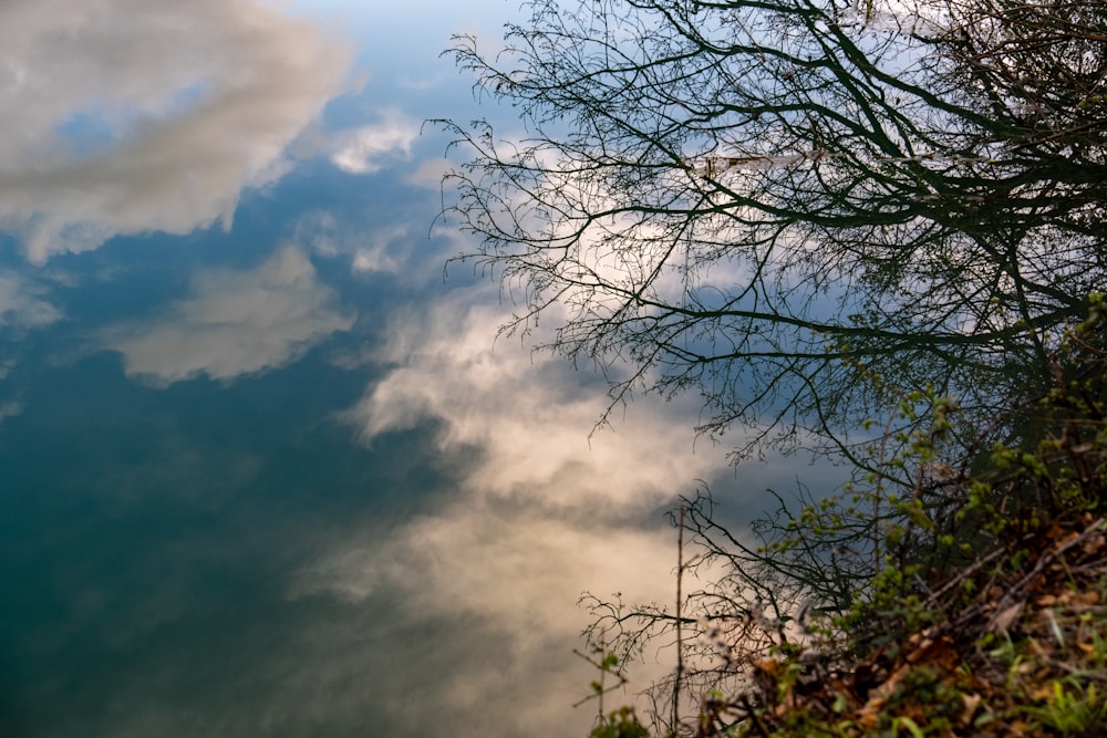 a body of water with trees and clouds in the background