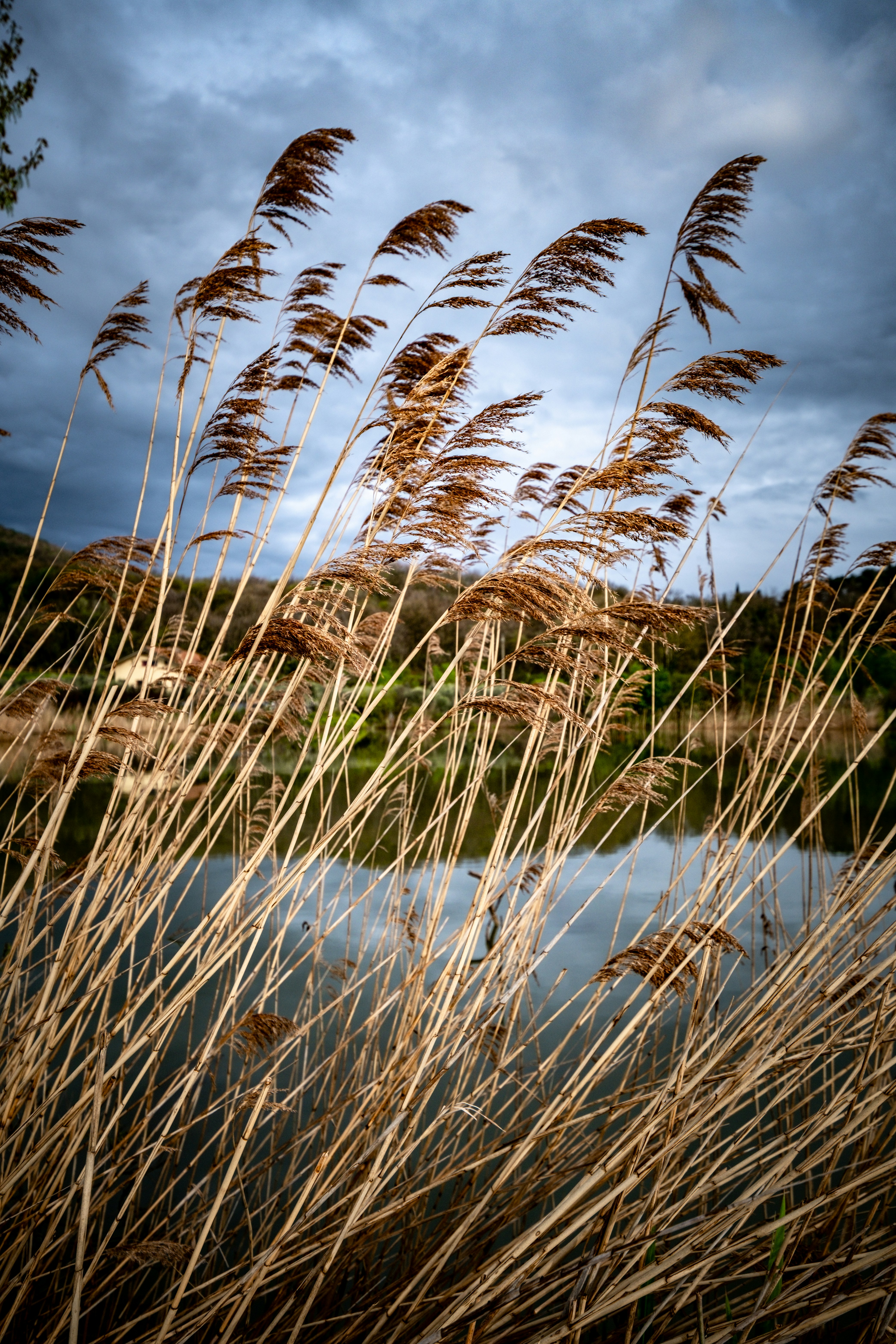 Photo by francesco_ungaro