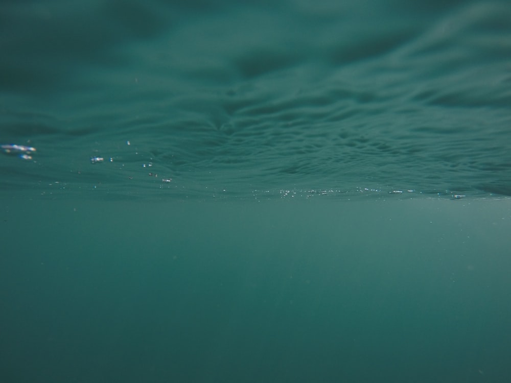 a view of the water from the bottom of the water