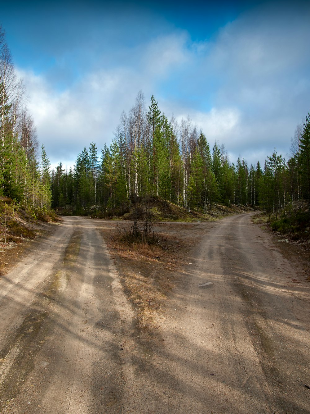 a dirt road in the middle of a forest