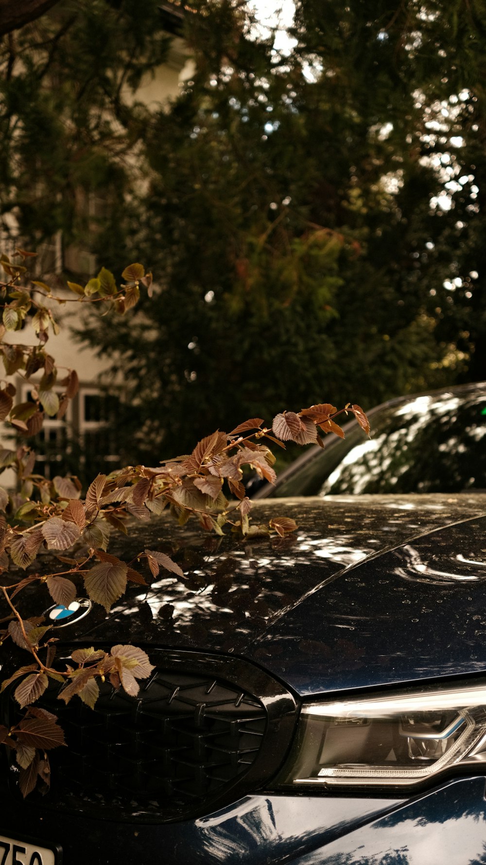 a close up of a car parked on the side of the road