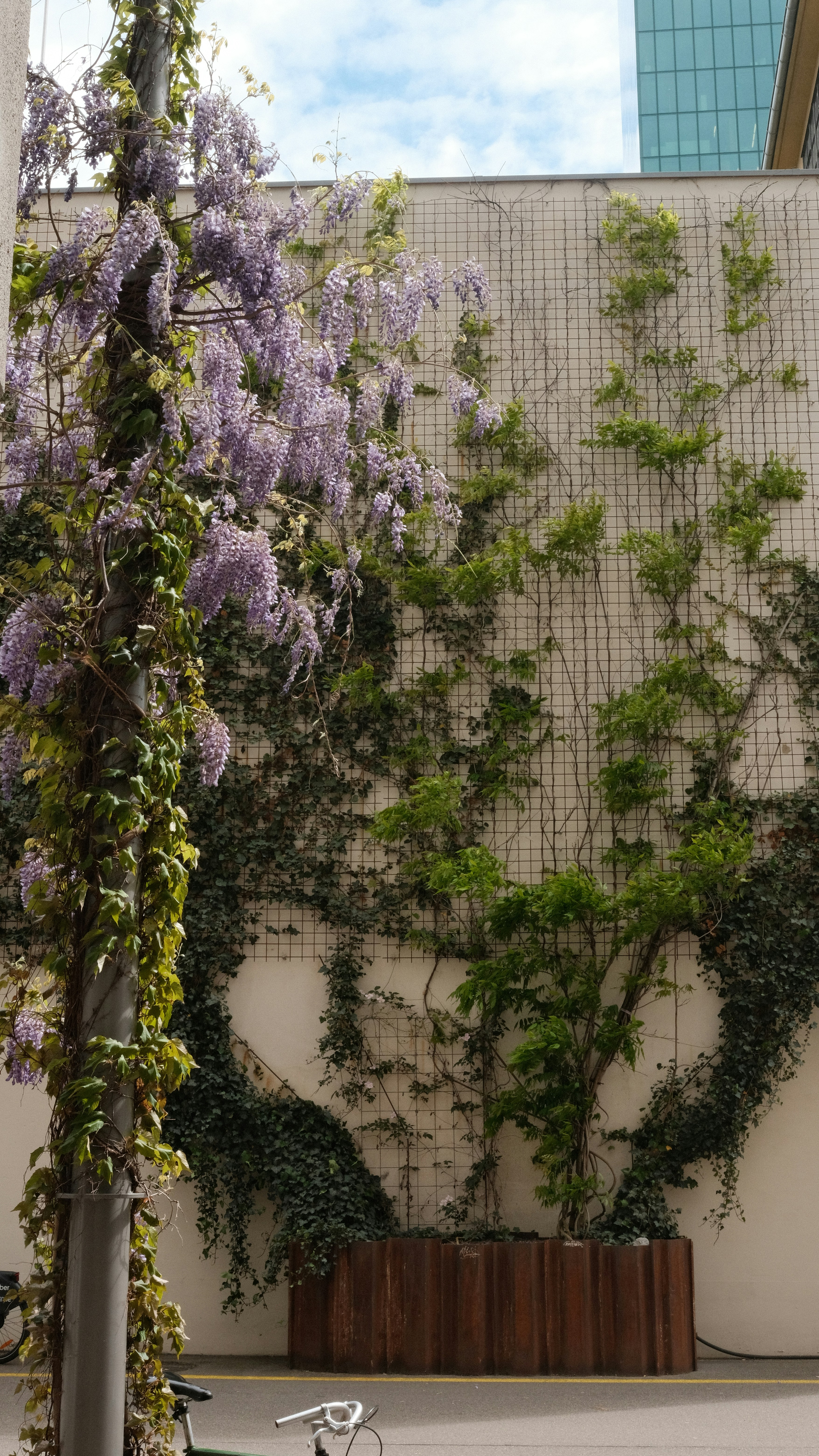a bike parked next to a tall building