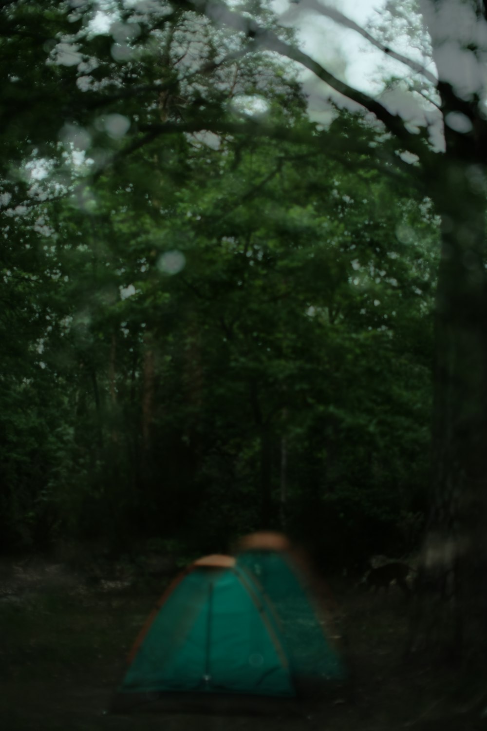 a green tent sitting in the middle of a forest