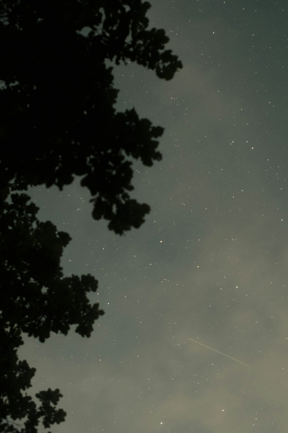 a plane flying through the night sky with stars