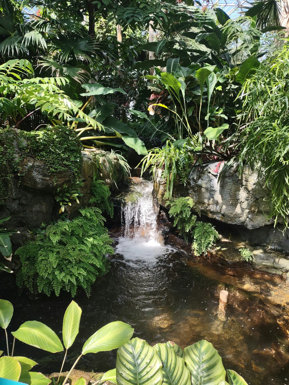 a small waterfall in the middle of a tropical garden