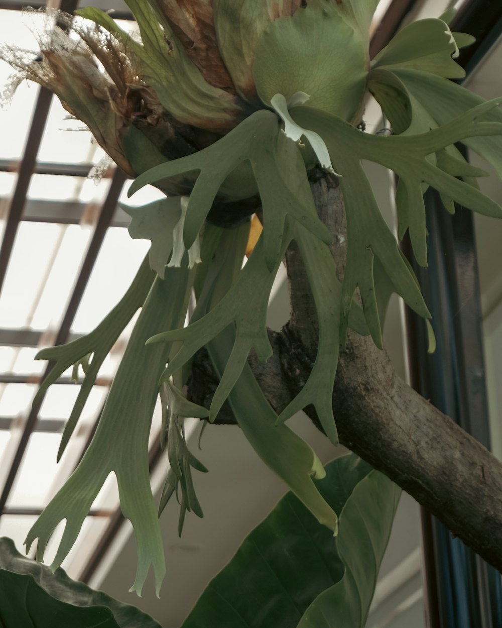 a bird is perched on a tree branch