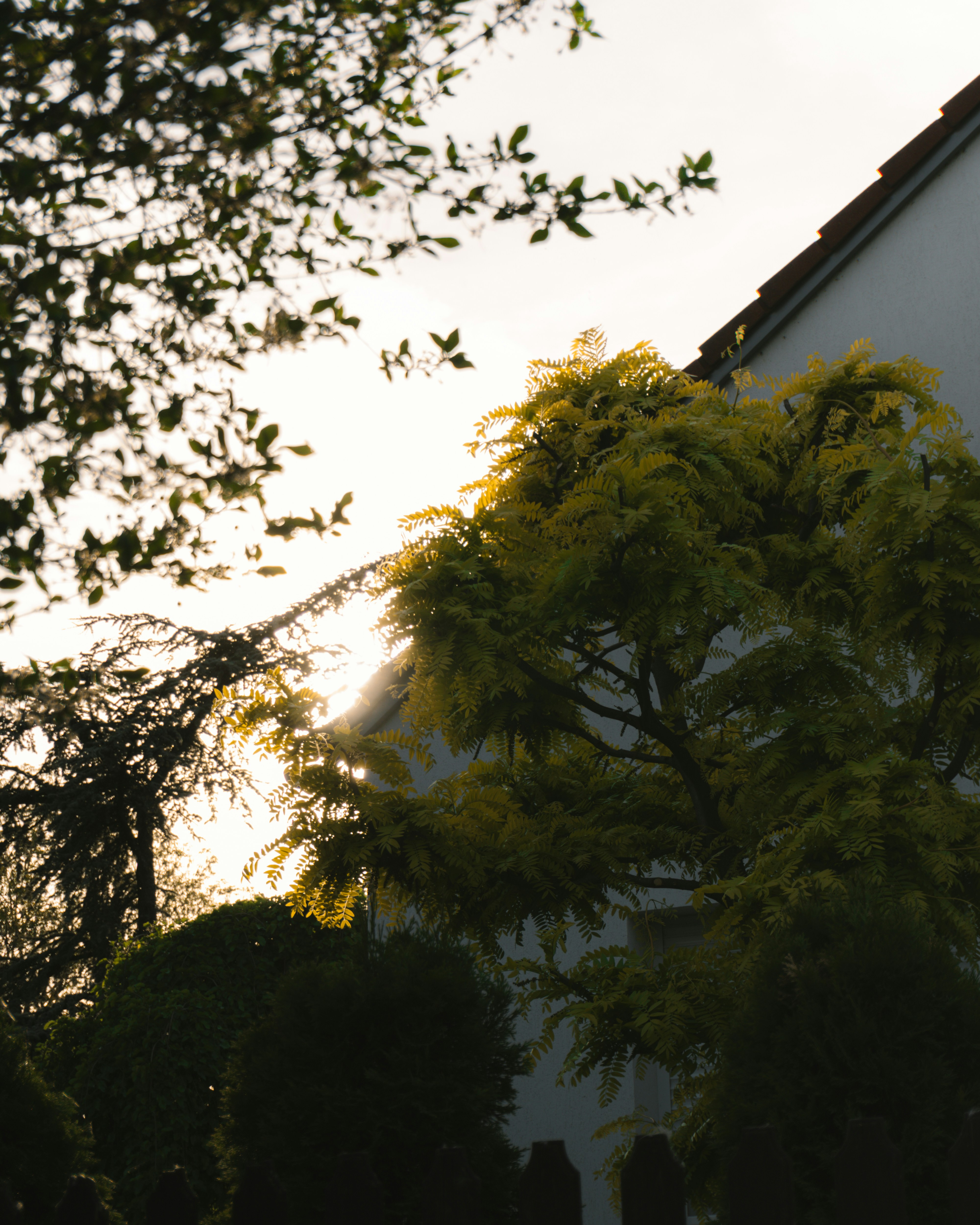 Photo by puskas_dominik